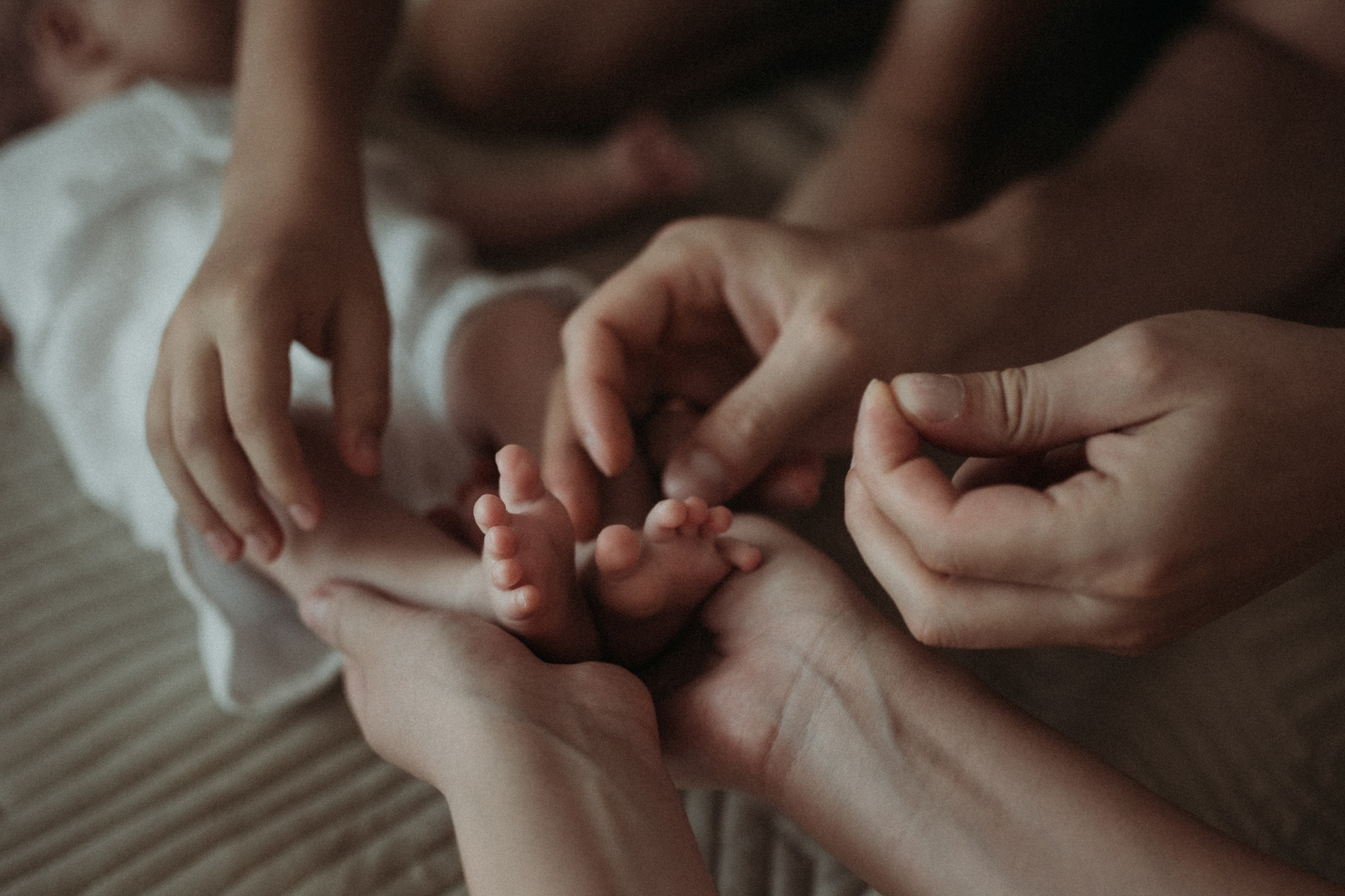 Катя, Ариша, Антон, Артем. Www.ostermiller.ru