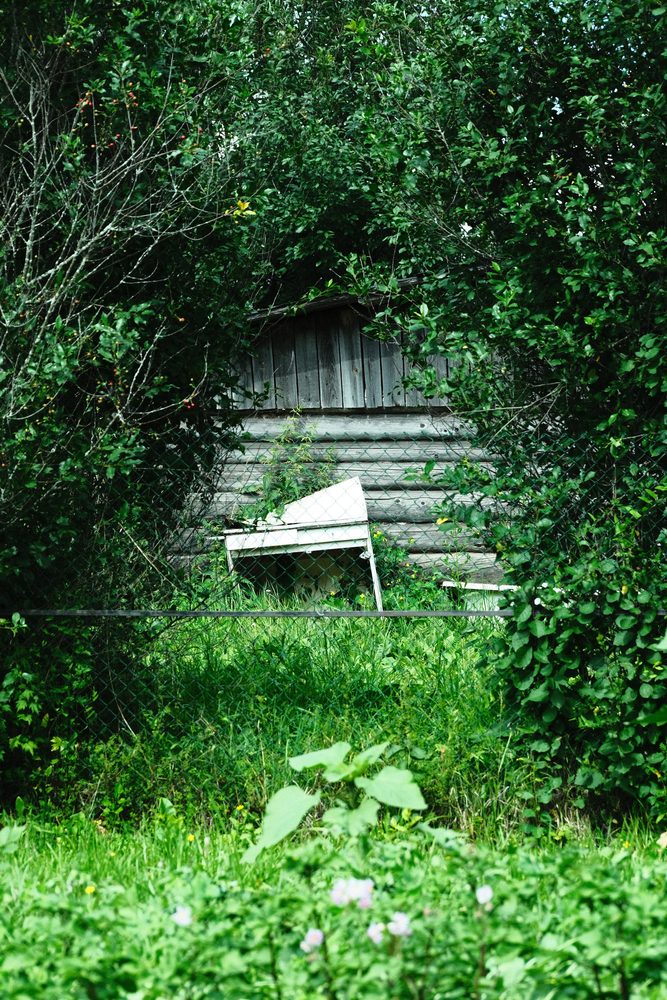 Эстетика забытых мест. Фотограф-любитель из Кирова Андрей Погребняк