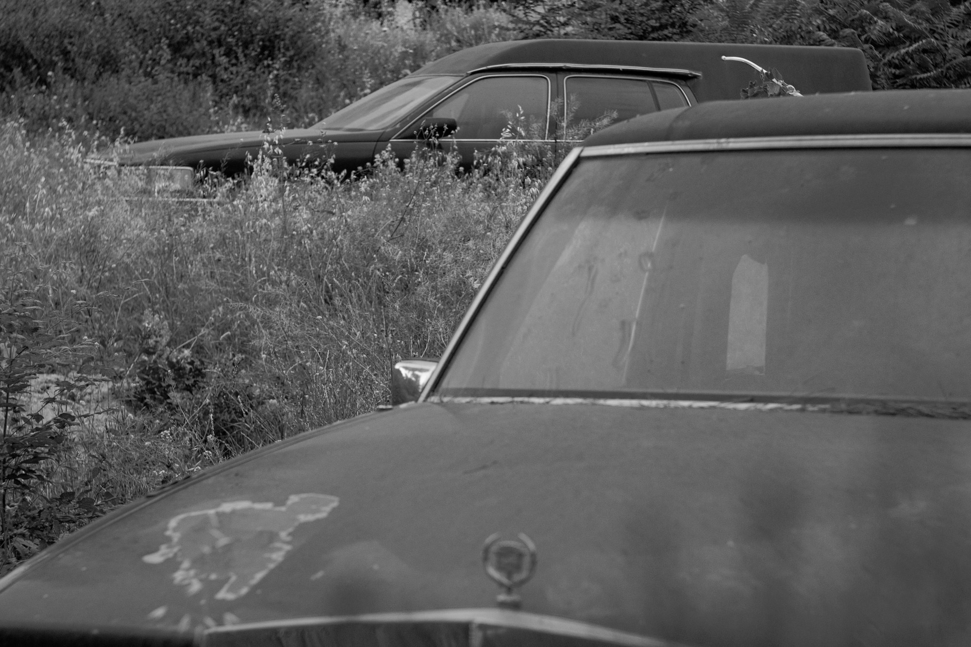 WAITING HALL. Alexander Malchenko