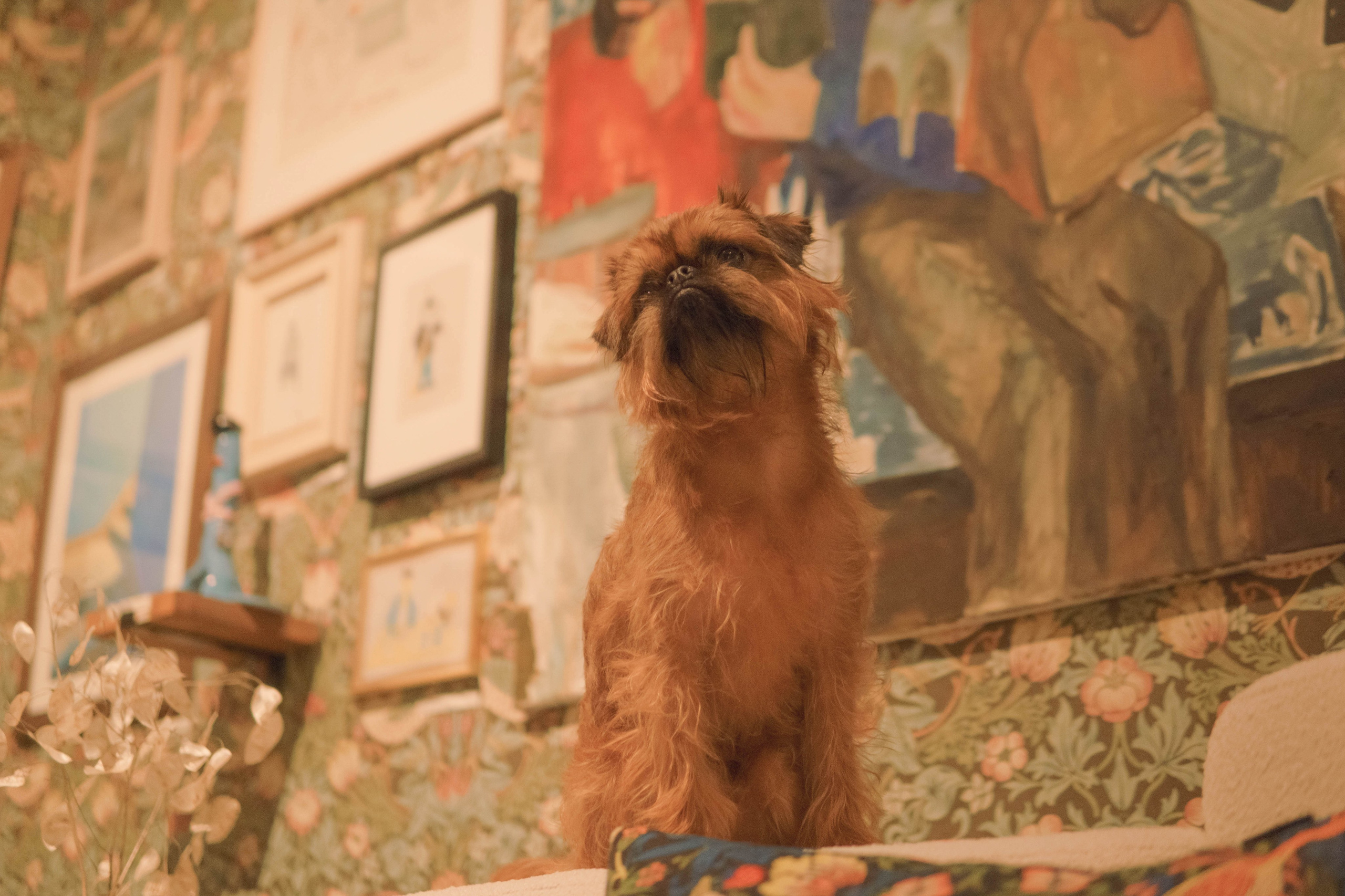 Наташа и Хавьер. Фотограф-анималист Ксения Воробьева, Москва