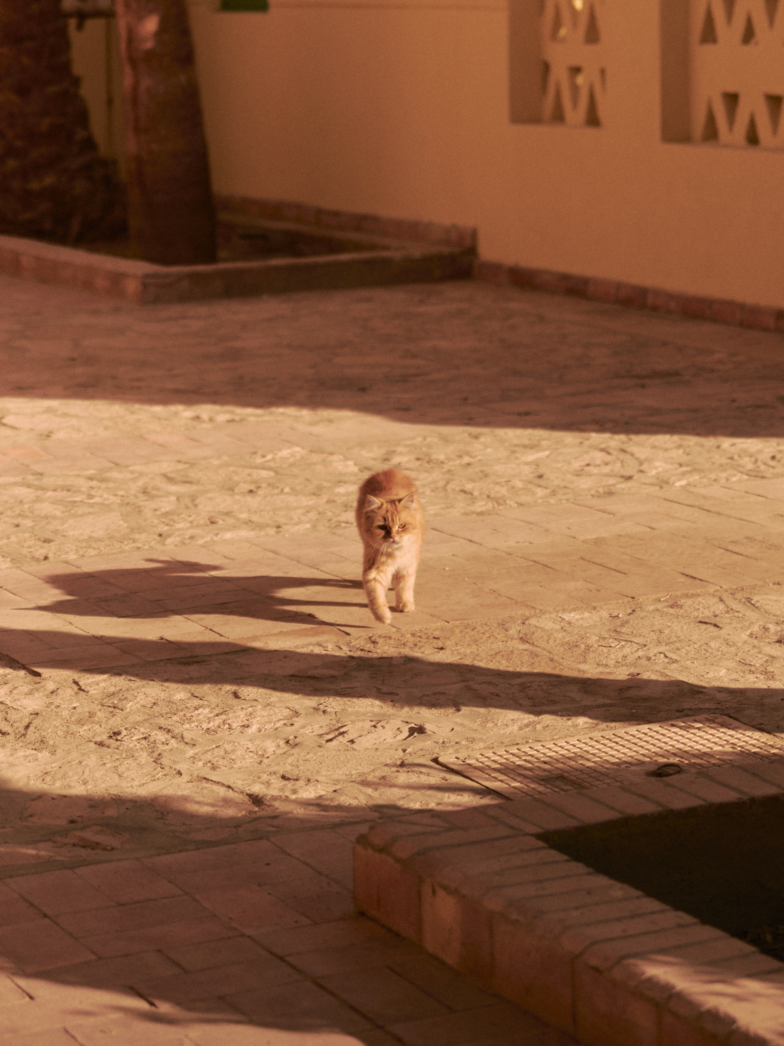 Диптих. Jorgis — фотограф в Хургаде / обучение фотографии