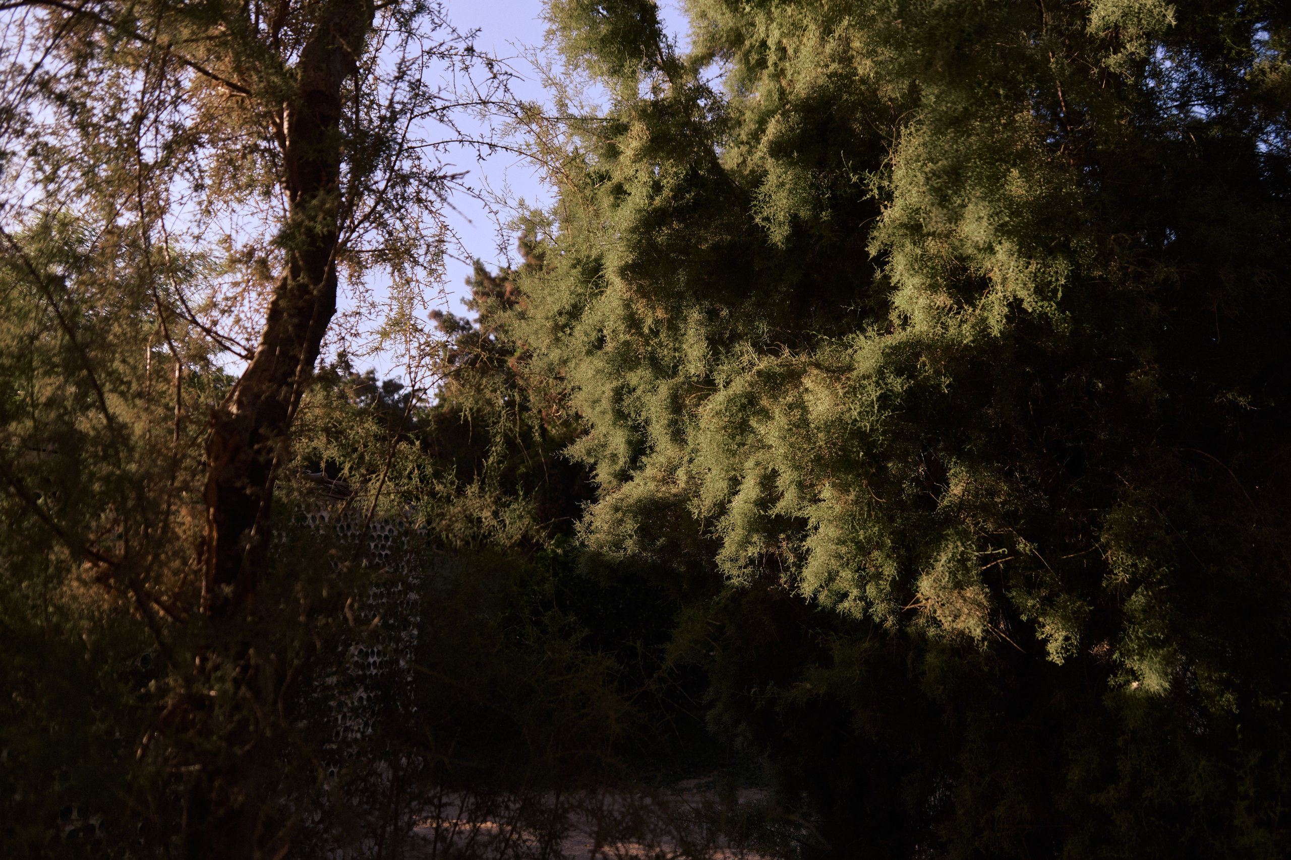 Улица горизонтальная. Jorgis — фотограф в Хургаде / обучение фотографии