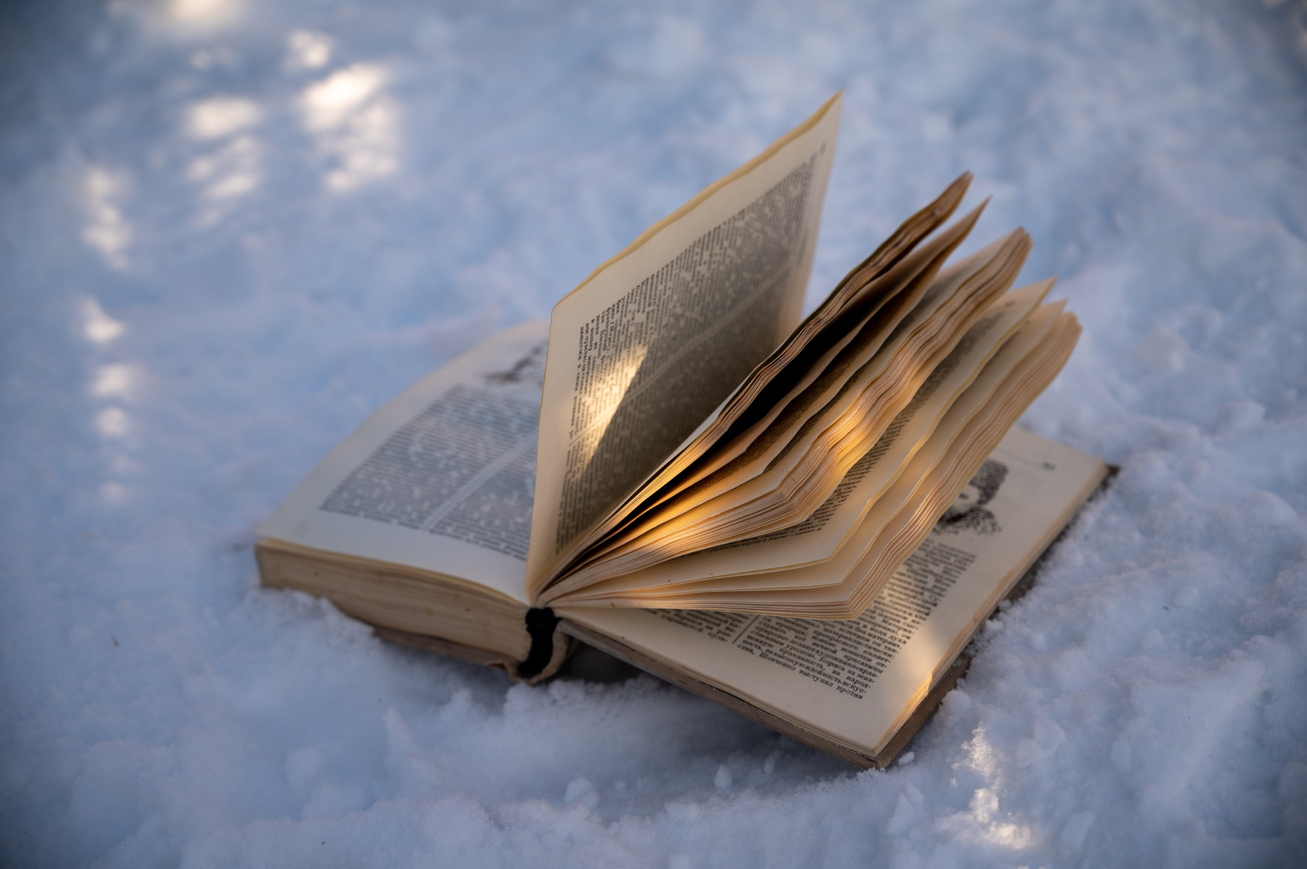 Донор. Фотограф Мария