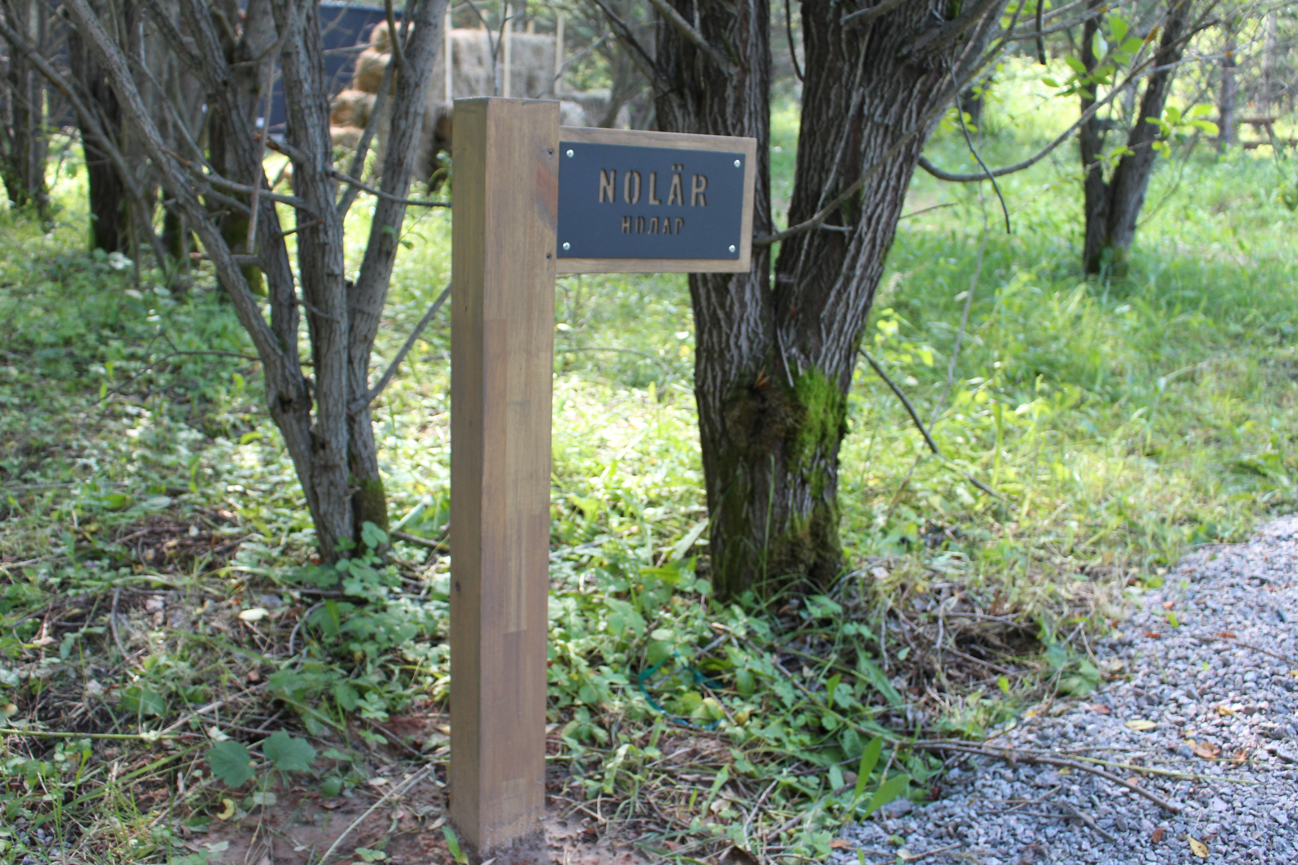 Побег из города. Фотограф Шагалов Михаил