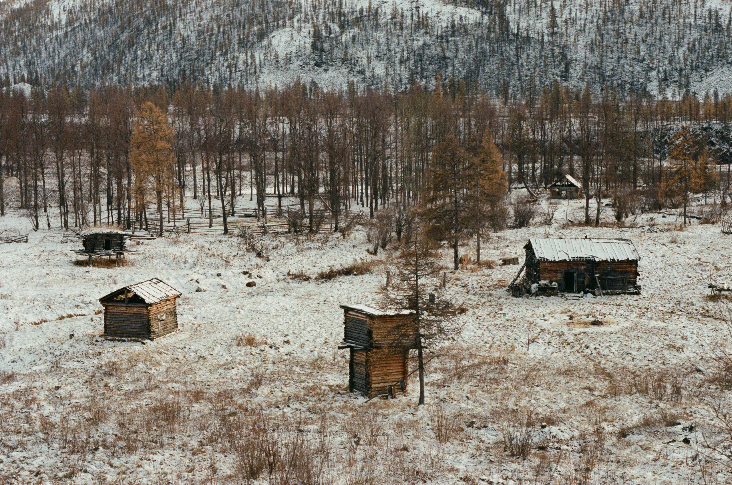 Не забудь накормить озеро. Natalya Madilyan
