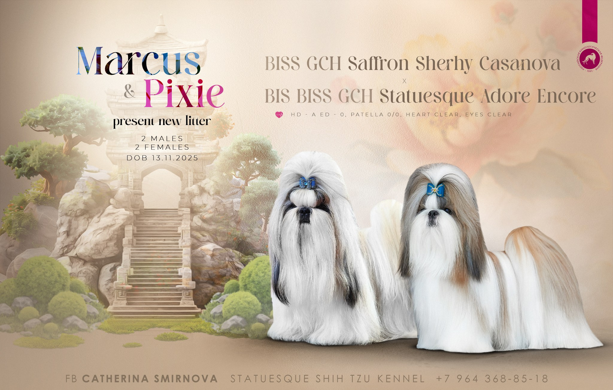 Презентация помета ши-тцу