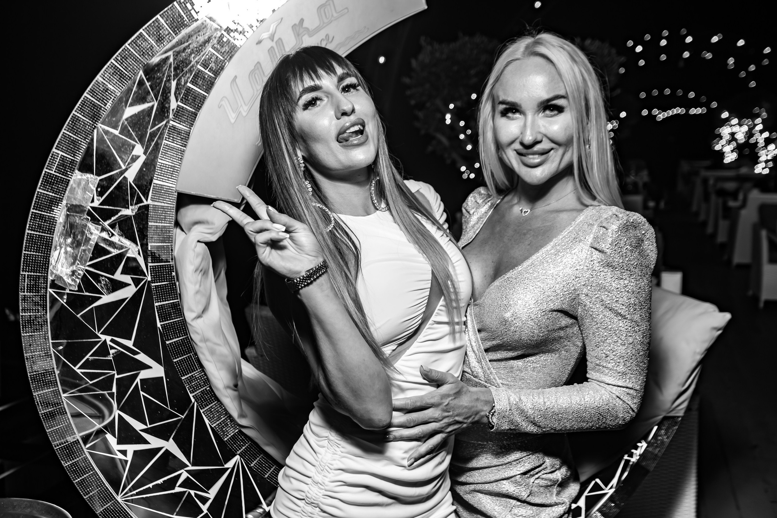 «Лёша СВИК"_Чайка на пляже_Ялта_04.07.2025 г. Аминов Руслан | Фотограф