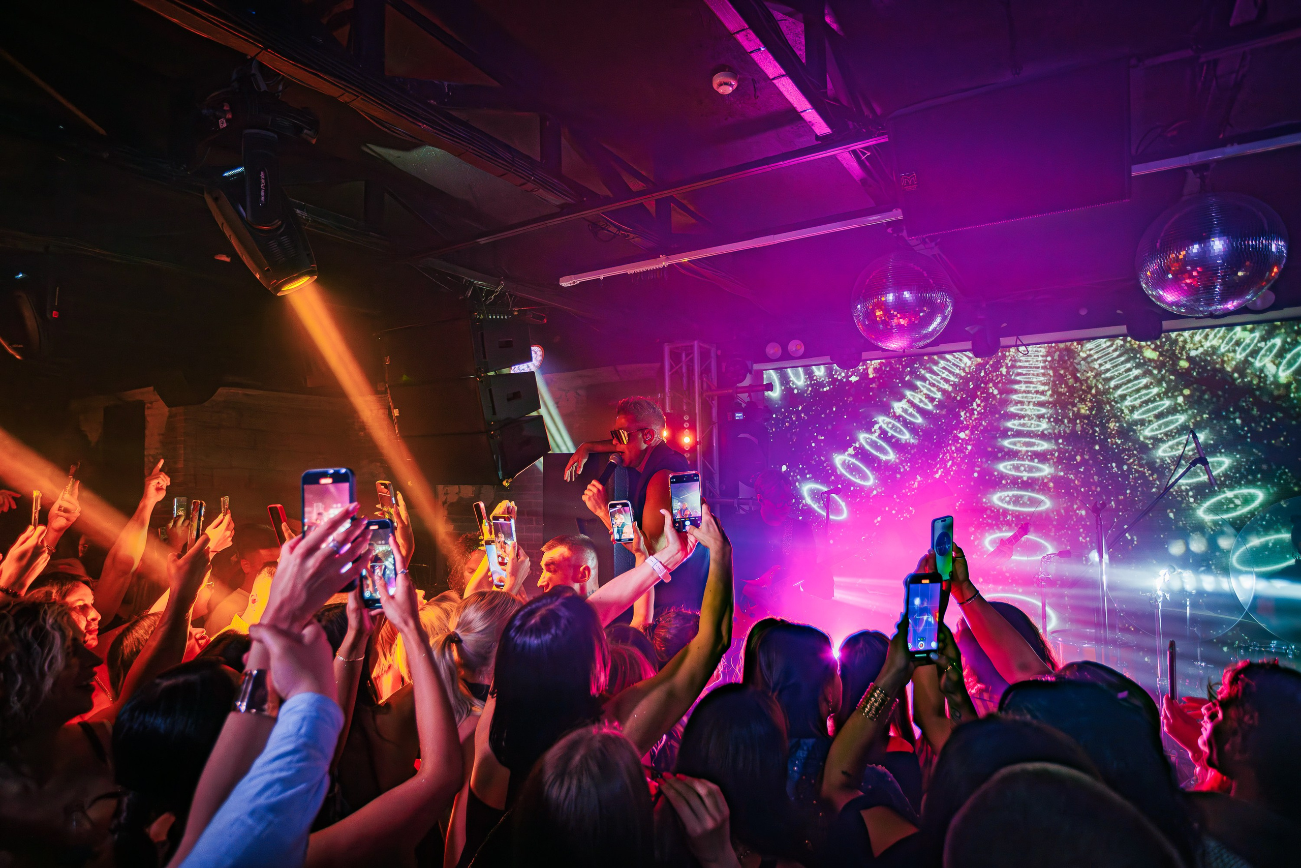 «Митя Фомин"_Чайка на пляже_Ялта_28.06.2025 г. Аминов Руслан | Фотограф