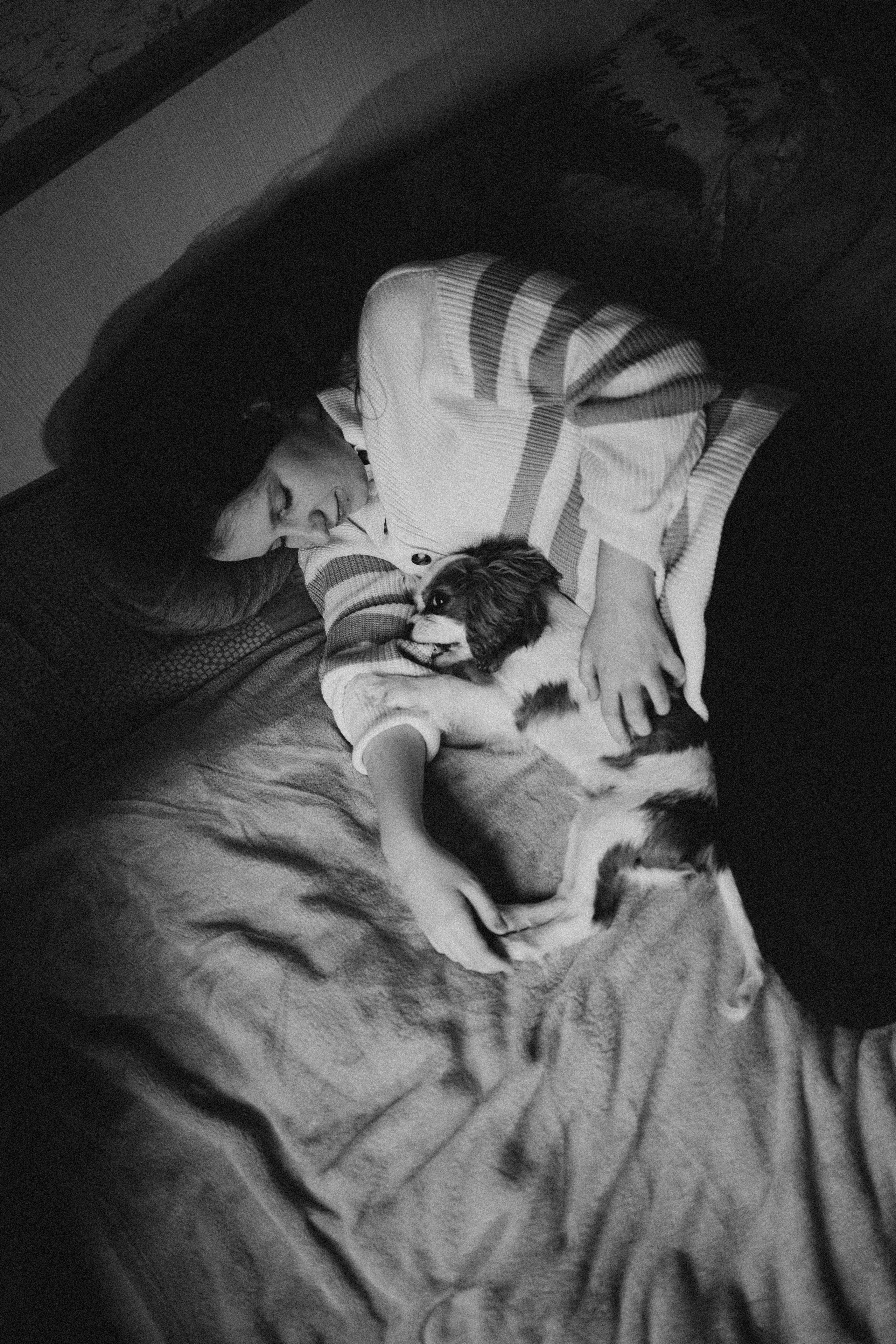 Юля и Кипр. Фотограф-анималист в Москве Лера Черноног