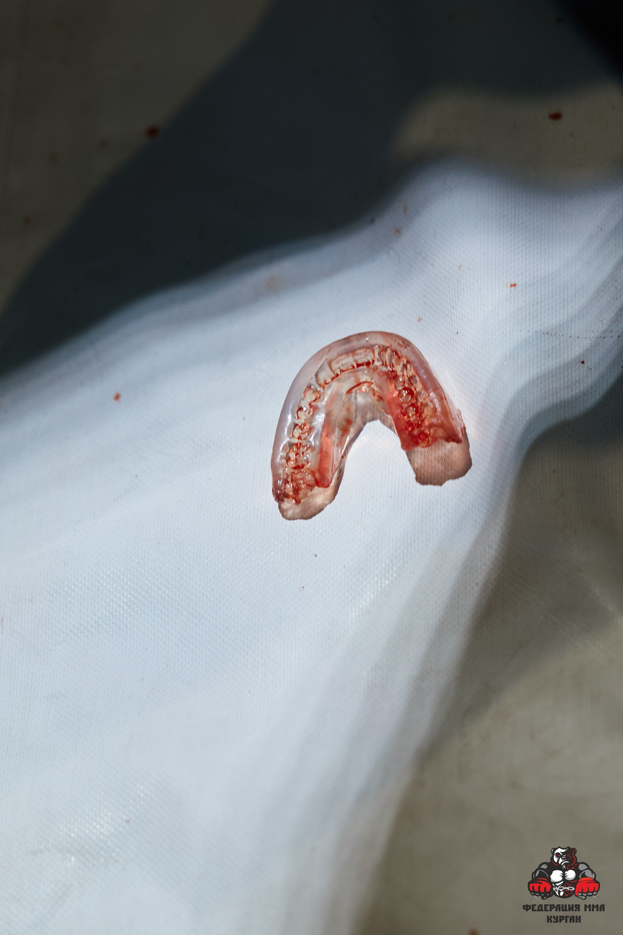 ММА. Фотограф и видеограф в Кургане Леонид Корнильев