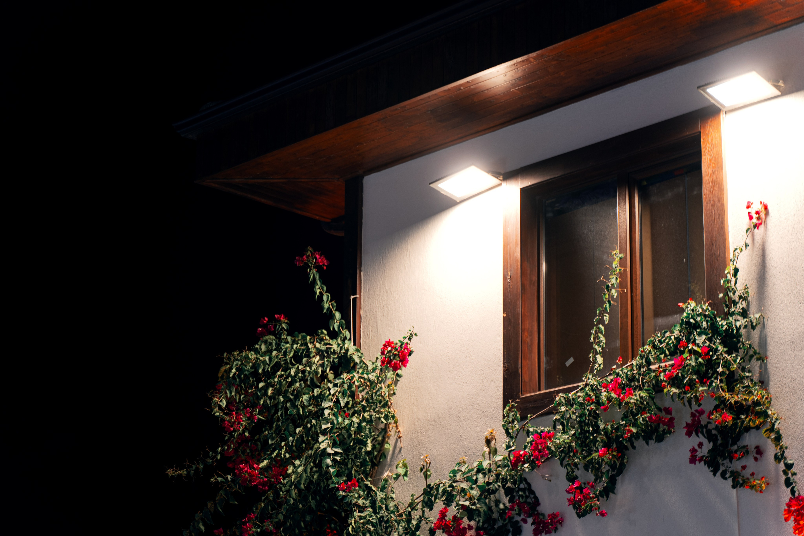 Фотограф Аланья, фотограф Анталья, фотограф лучший Кемер, лучший фотограф Сиде, лучший фотограф Стамбул, крутая фотосессия Аланья, креативная съемка Анталья,свадебная съемка  Кемер, коммерческая съемка Сиде, лучшая фотосессия Стамбула, дизайнерский фотограф, лучший фотограф семейный 