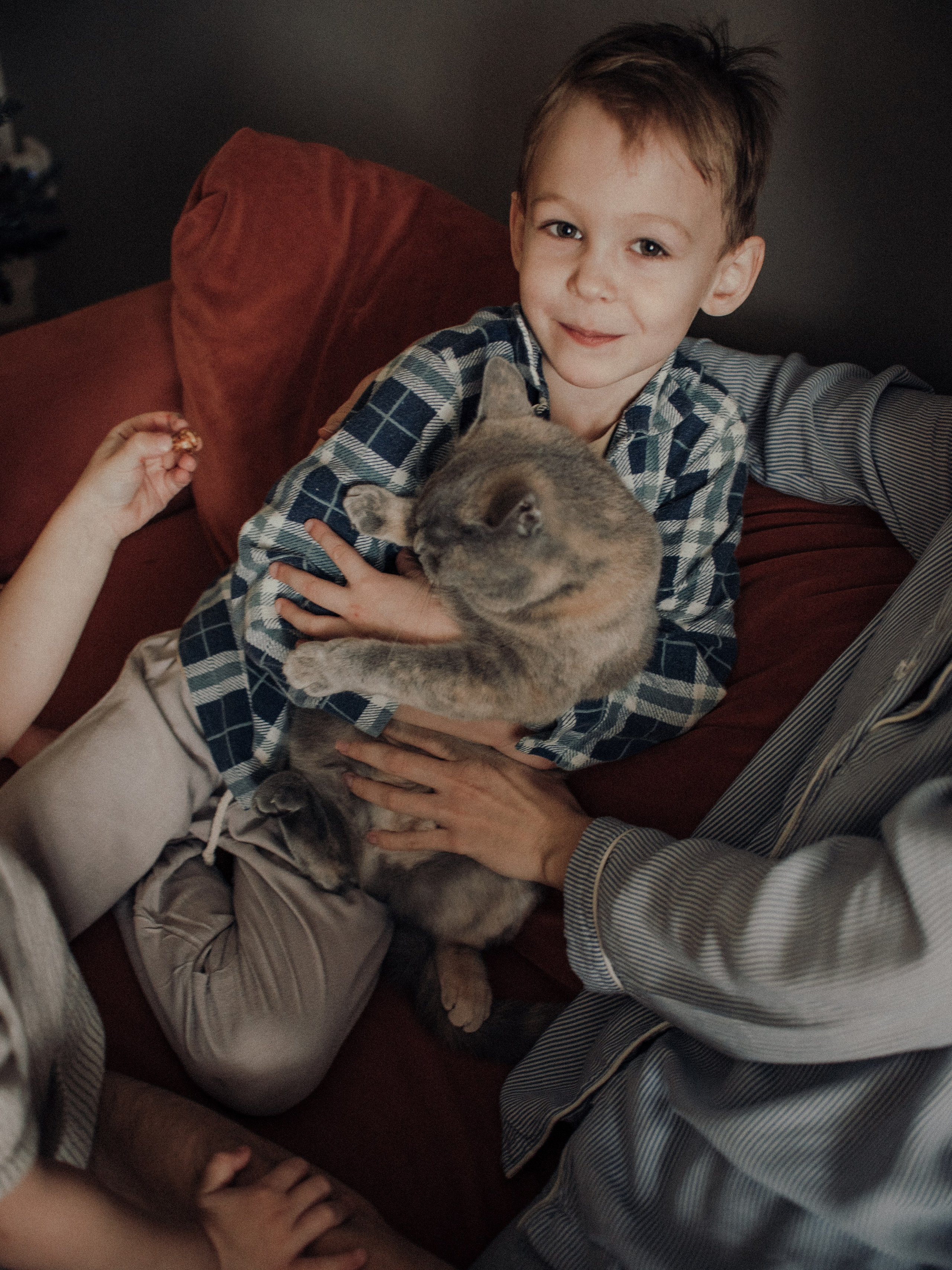 Новогодняя домашняя фотоистория. Фотограф Любовь Подосенова Липецк|Воронеж