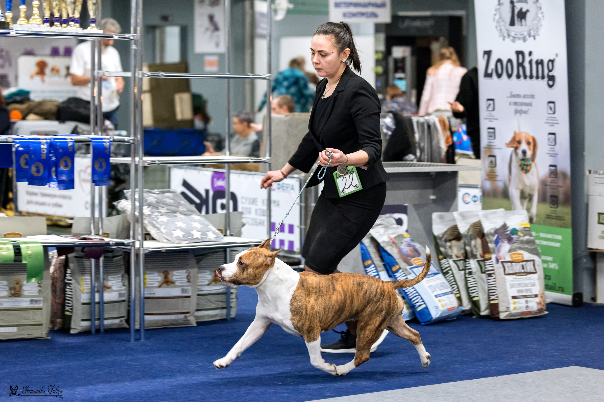 Сфера 28.01. и 4.02.2024. Фотограф-анималист Юлия Германика