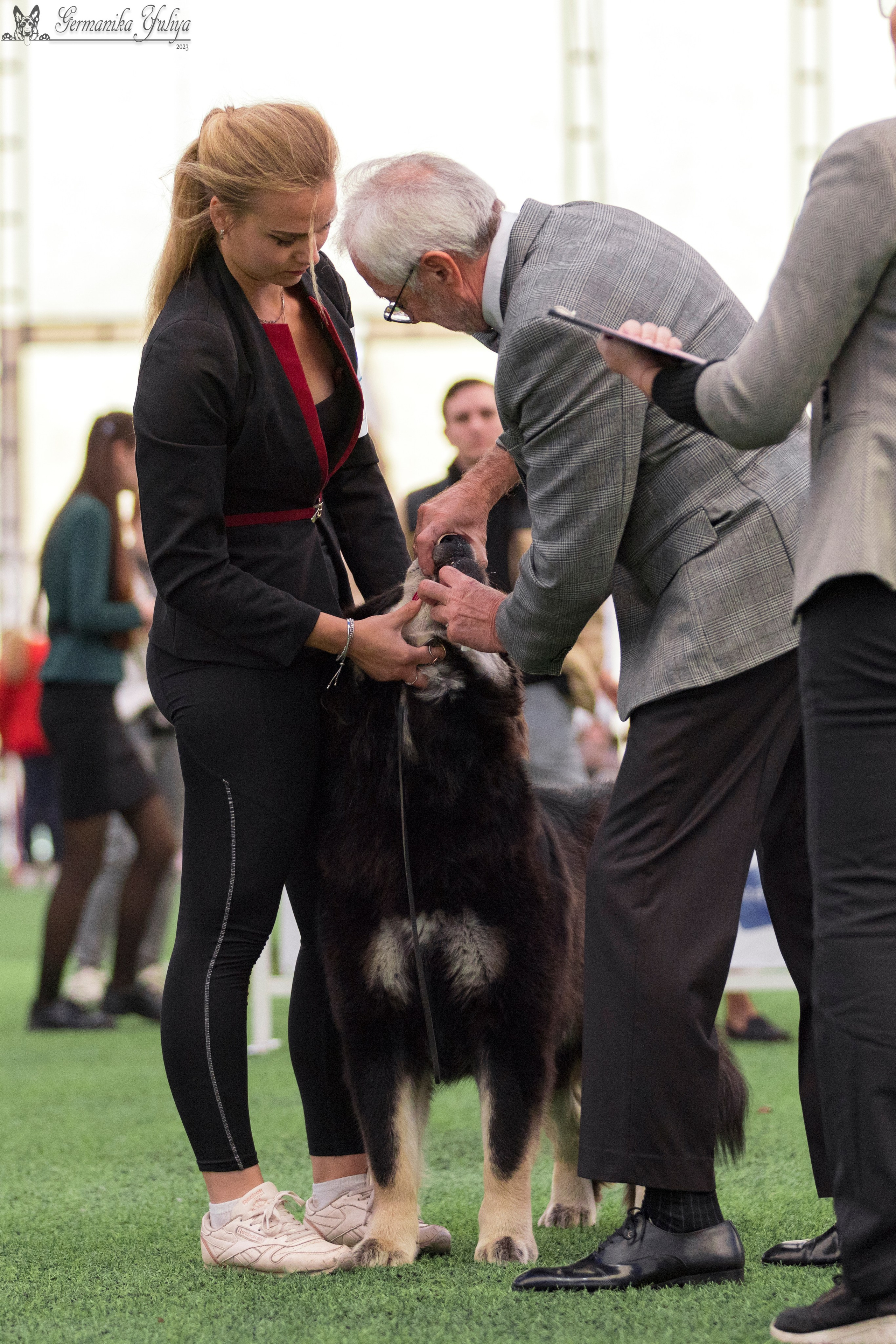 Ташкент 6-8.10.2023 + Алматы 14-15.10.2023. Фотограф-анималист Юлия Германика