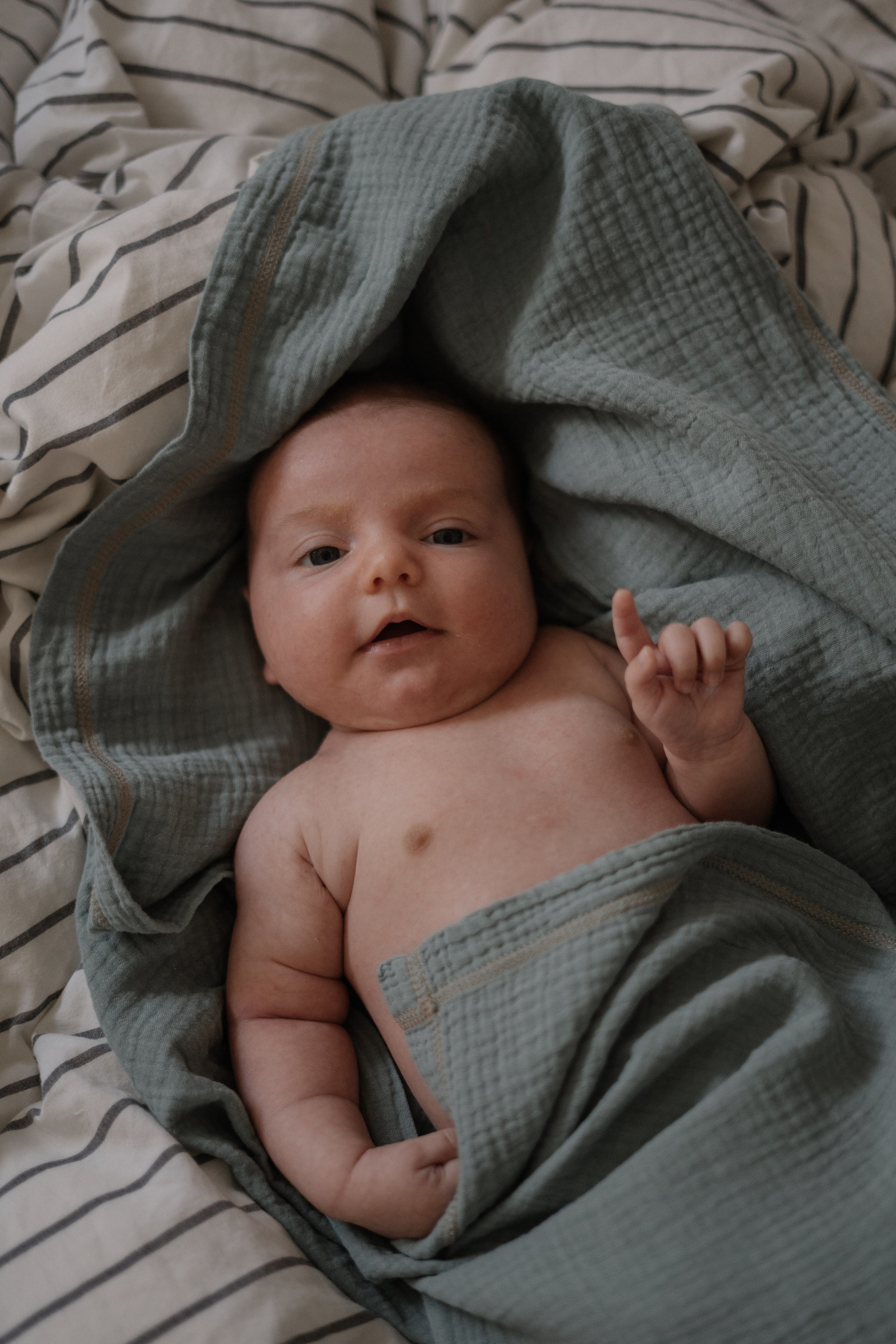 Леся, Александр и Матильда — семейная съемка. Фотограф Ольга Пучкова