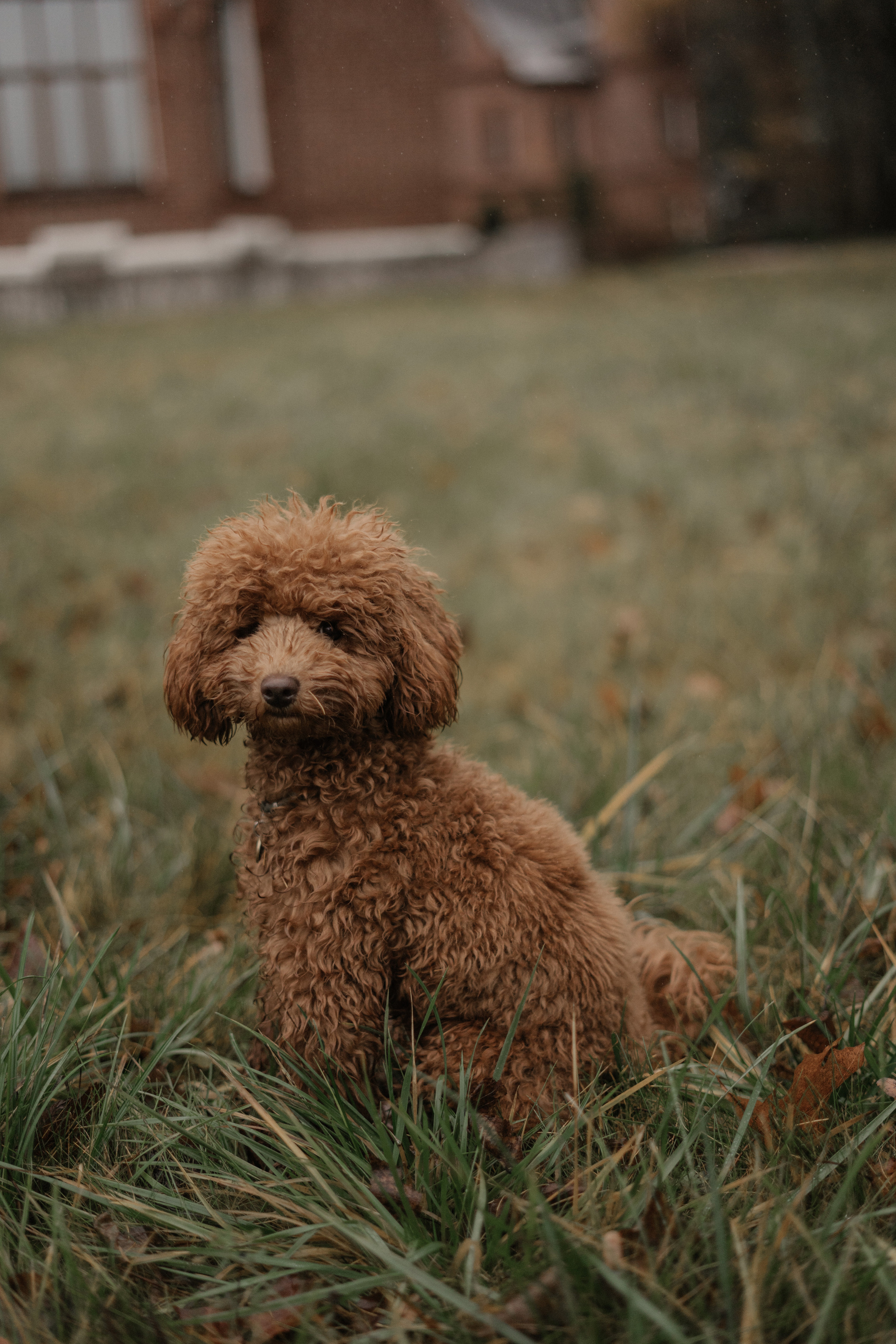 Евгения и Антон. Фотограф Ольга Пучкова