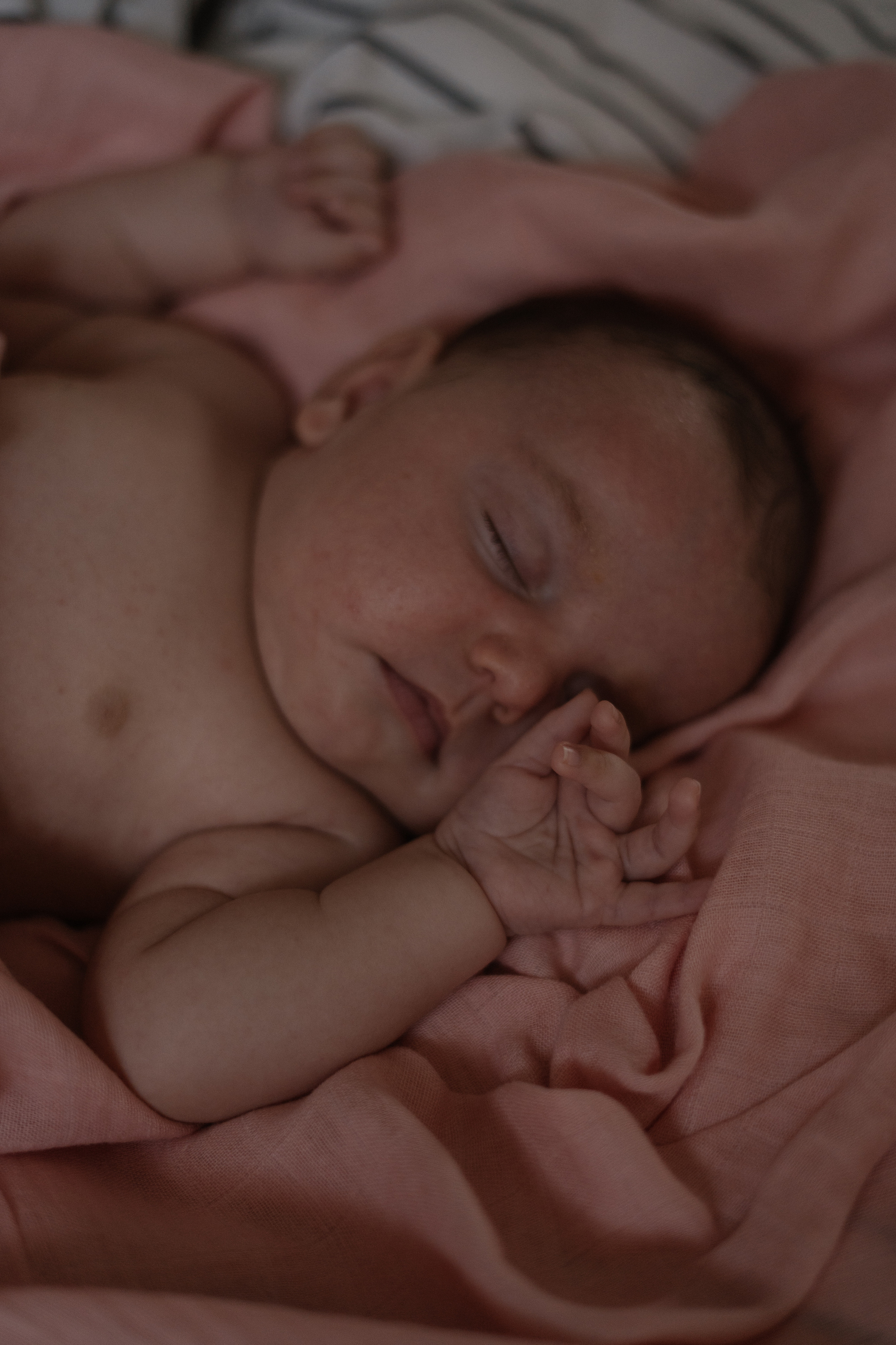 Леся, Александр и Матильда — семейная съемка. Фотограф Ольга Пучкова