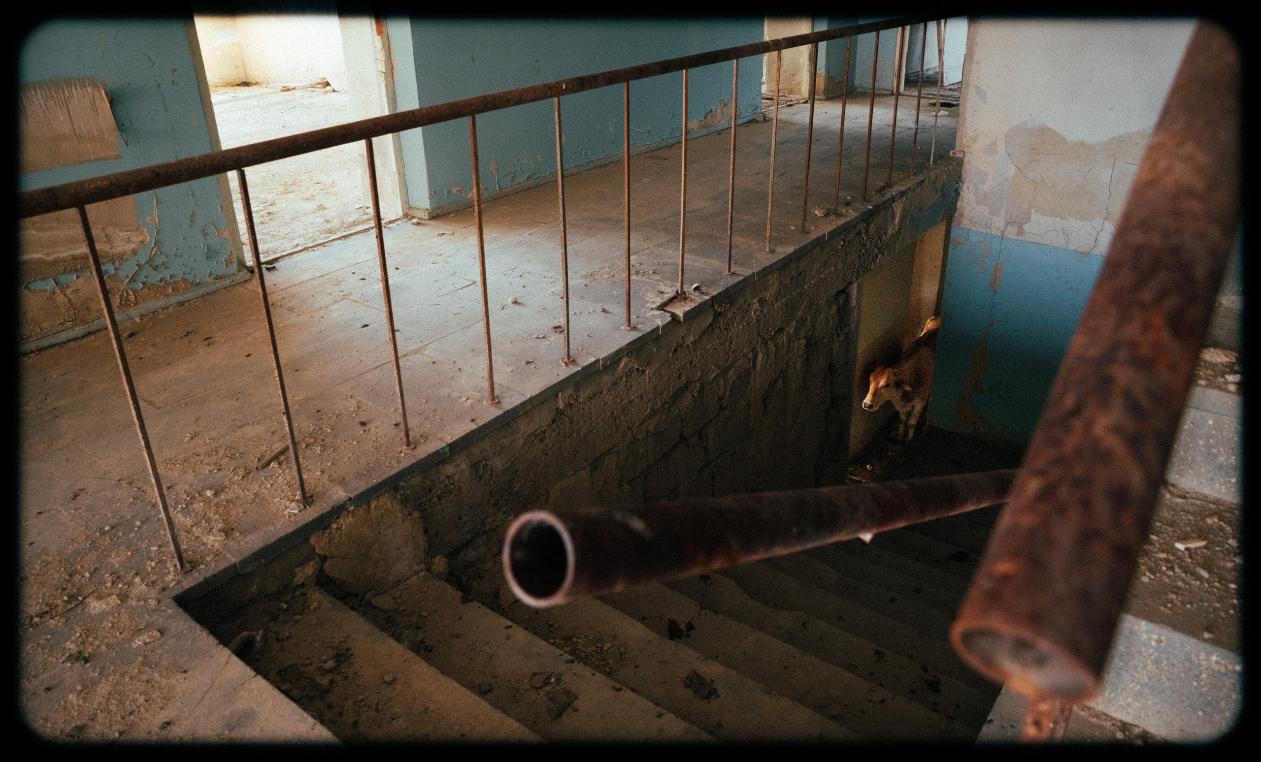 Лука Шарабидзе. Стрит. Лука Шарабидзе. Оператор, фотограф