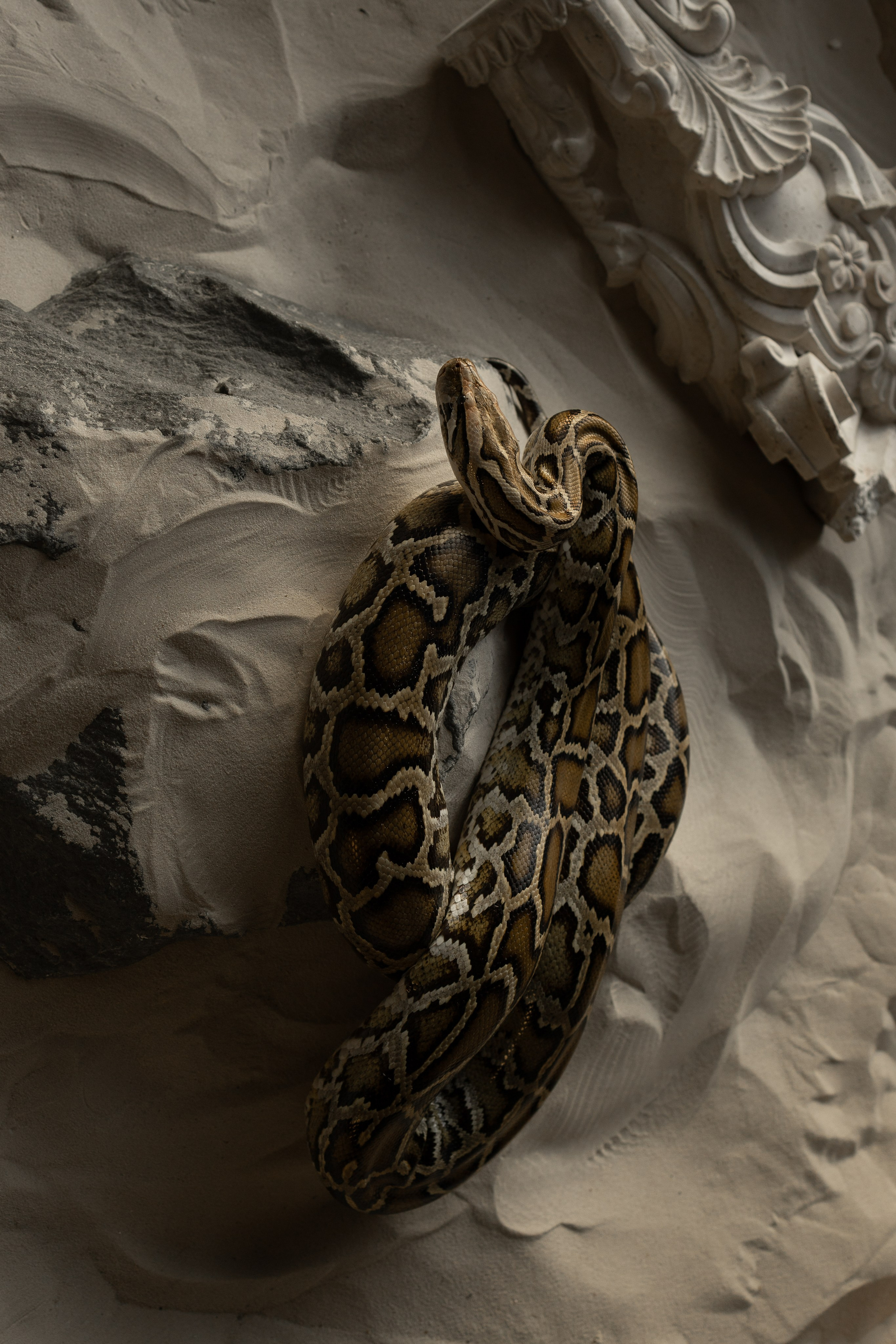 WILD LOVE. Фотограф Екатерина Крылова