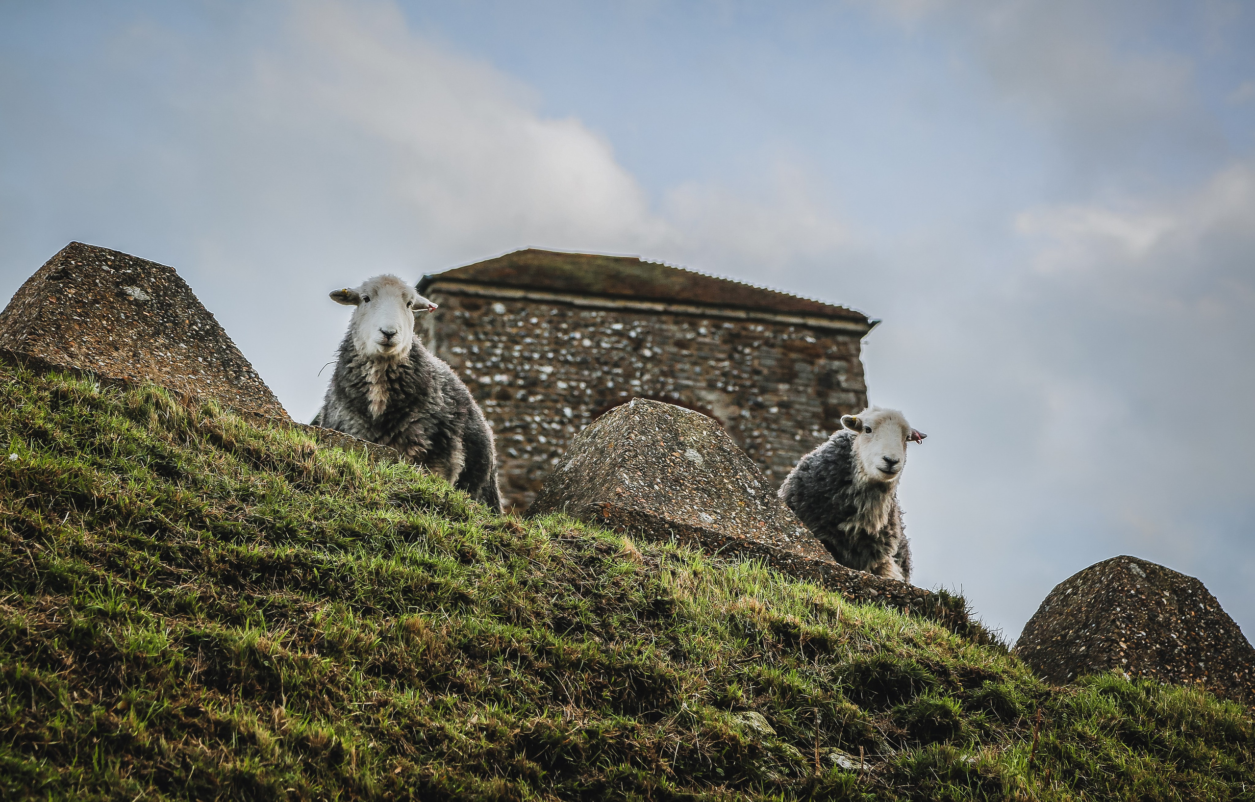 Англия: Дувр — на краю истории. Дарья Письменюк / Darya Leitstern — фотограф, музыкант, журналист, путешественник