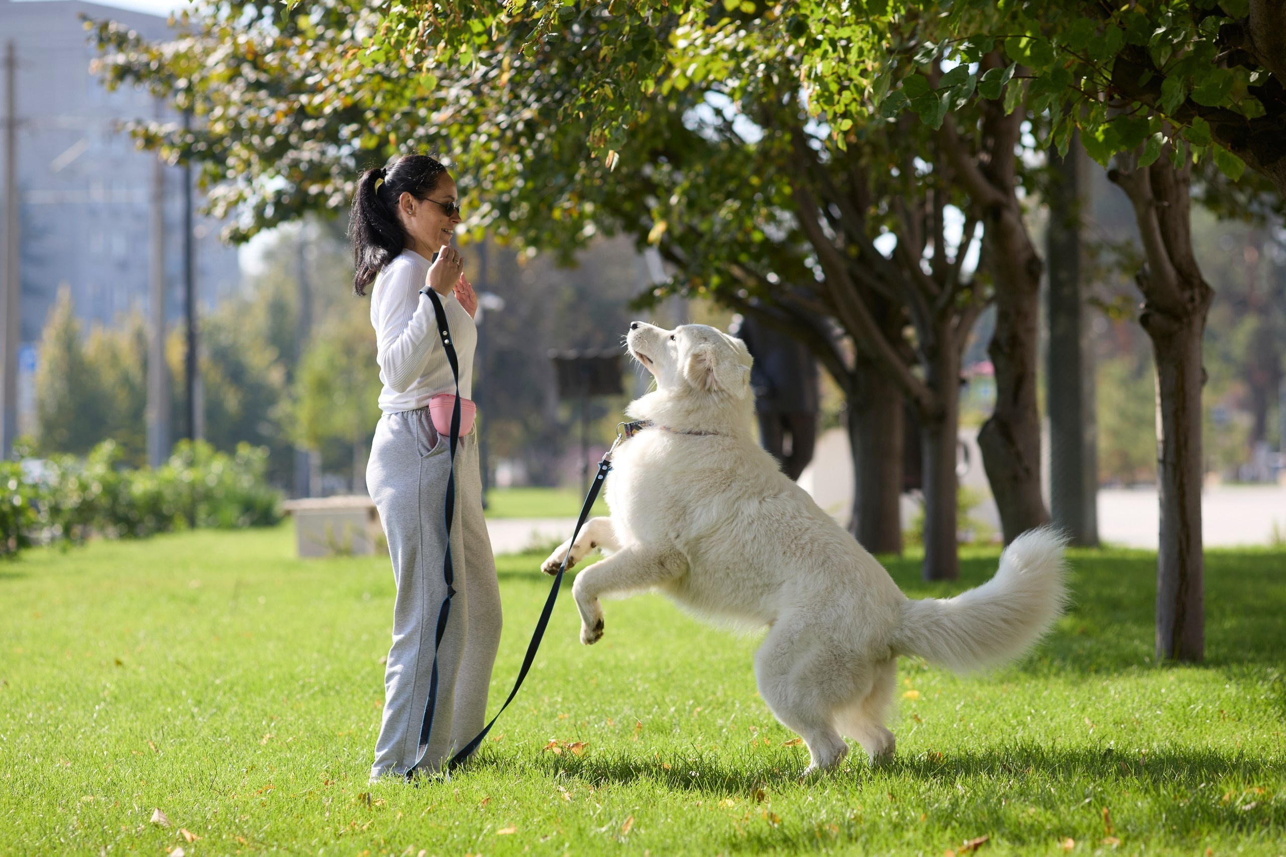 Фотограф собак в Краснодаре и Краснодарском крае Суковатых Евгений