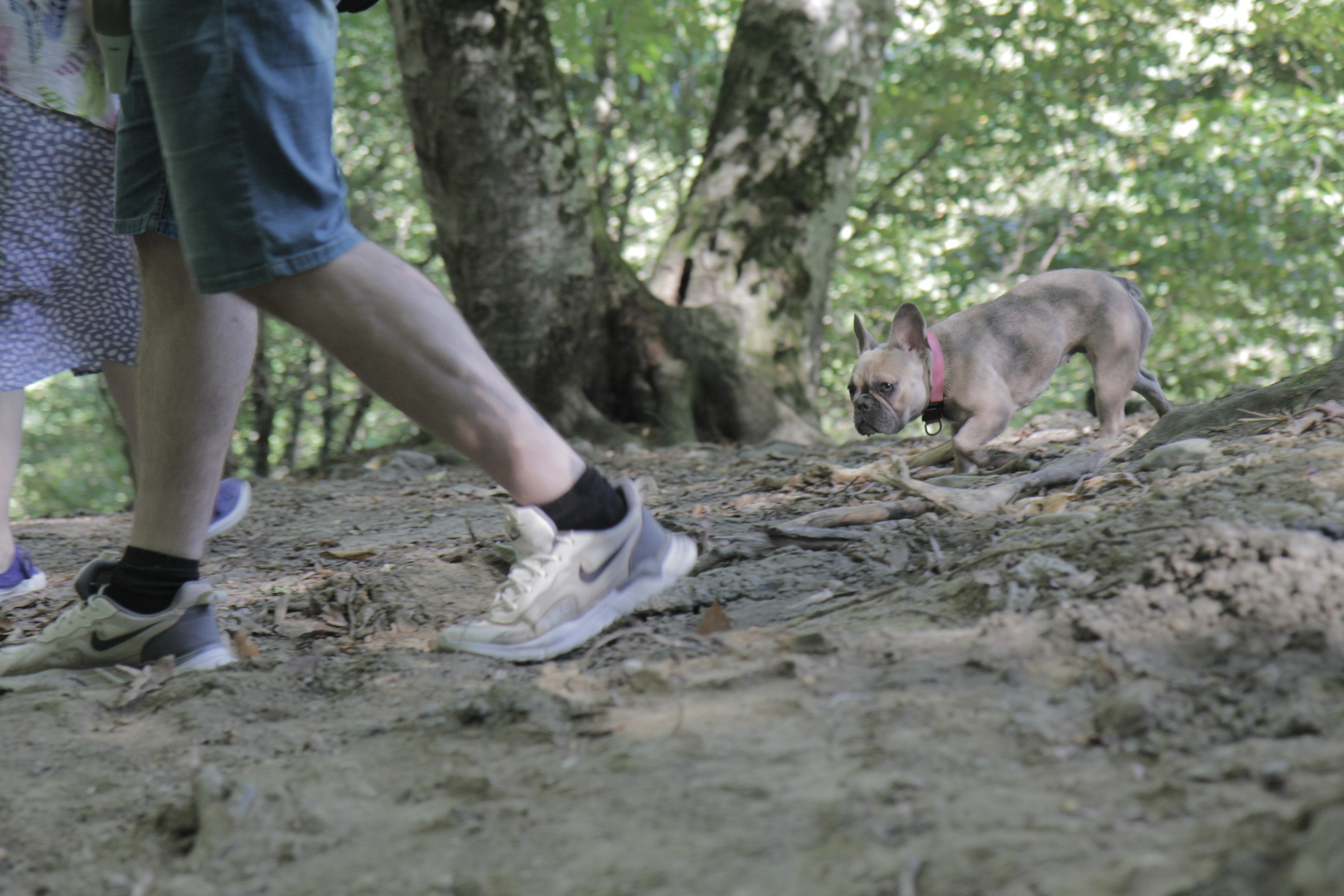 Горячий Ключ (2024-09-22). Собор Отрасли