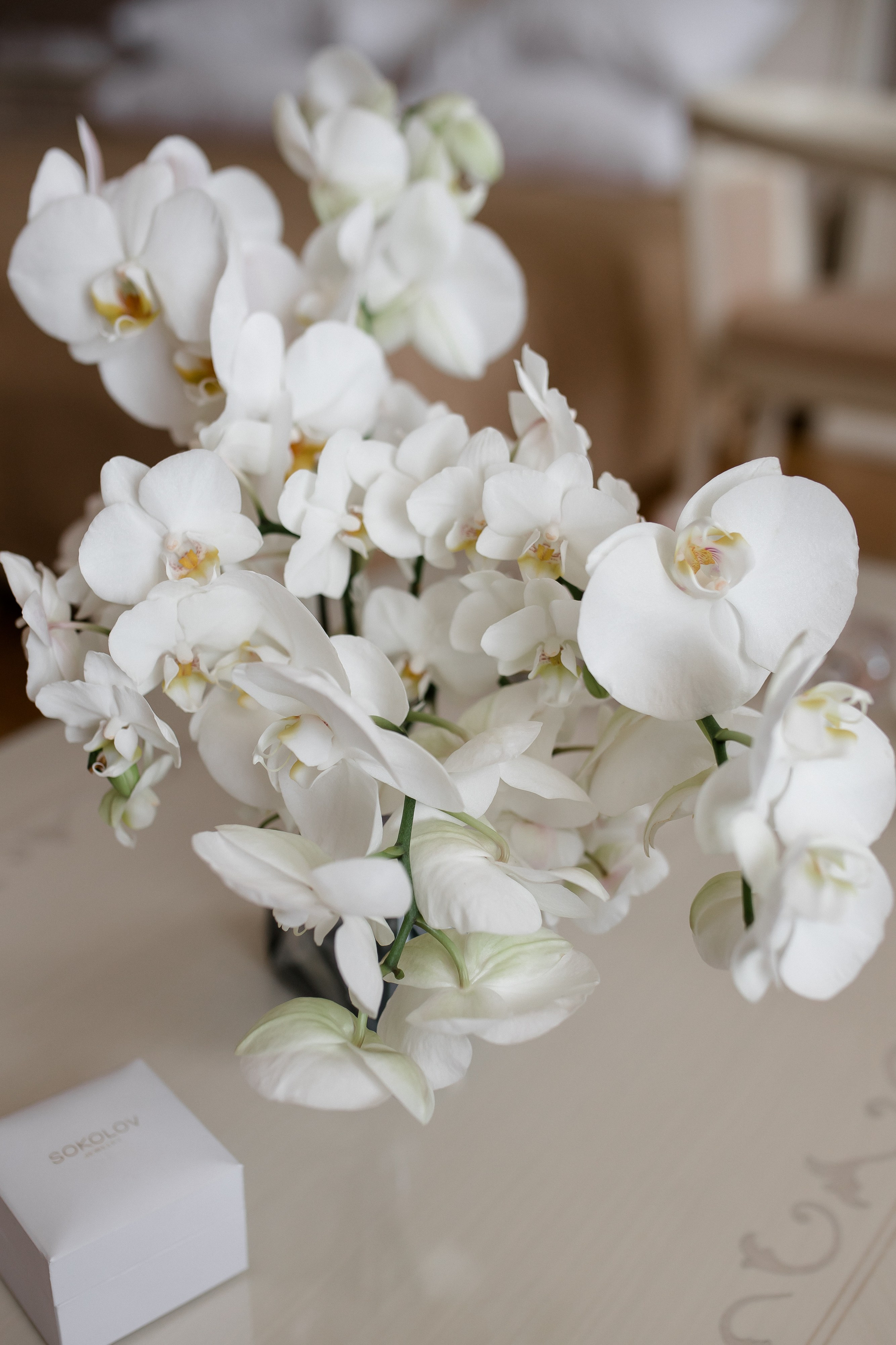 Алия + Илларион. Свадебный и семейный фотограф в Саратове Маша Паника