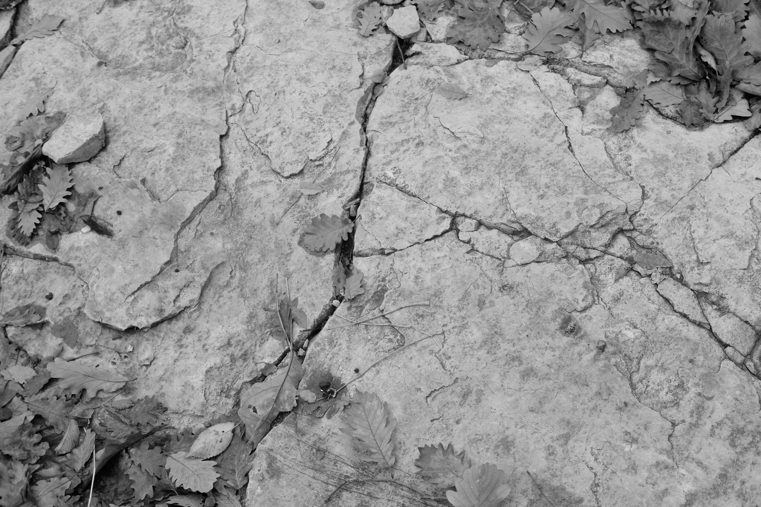 Юлия Микка. Barsukov