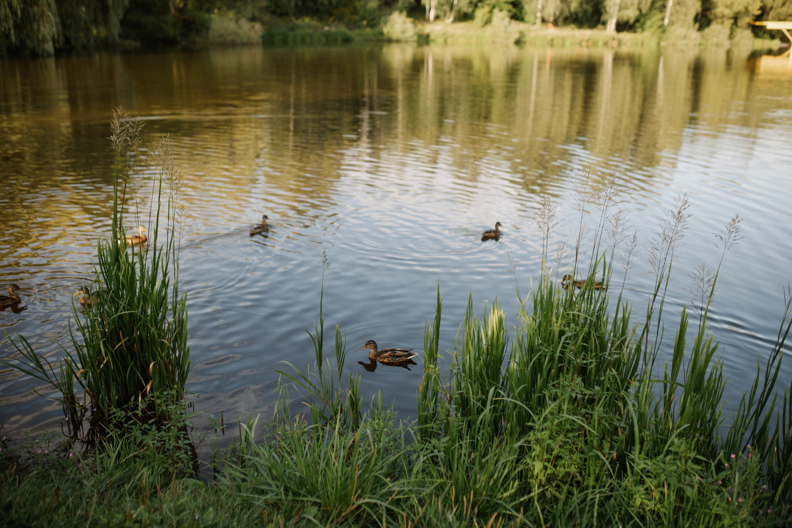 Съемка в парке 30 мин. Семейный и детский фотограф в Рязани Екатерина Воронцова