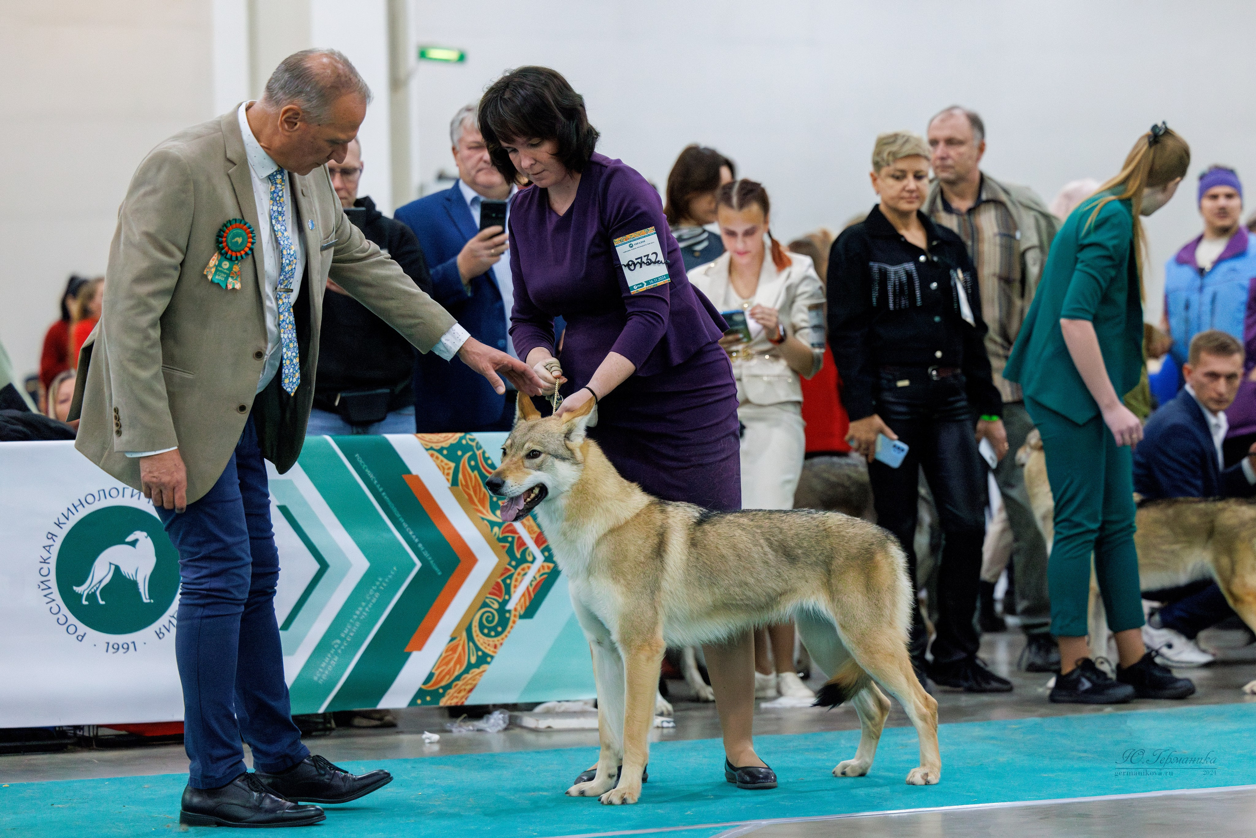 Евразия 16-17.11.2024. Фотограф-анималист Юлия Германика