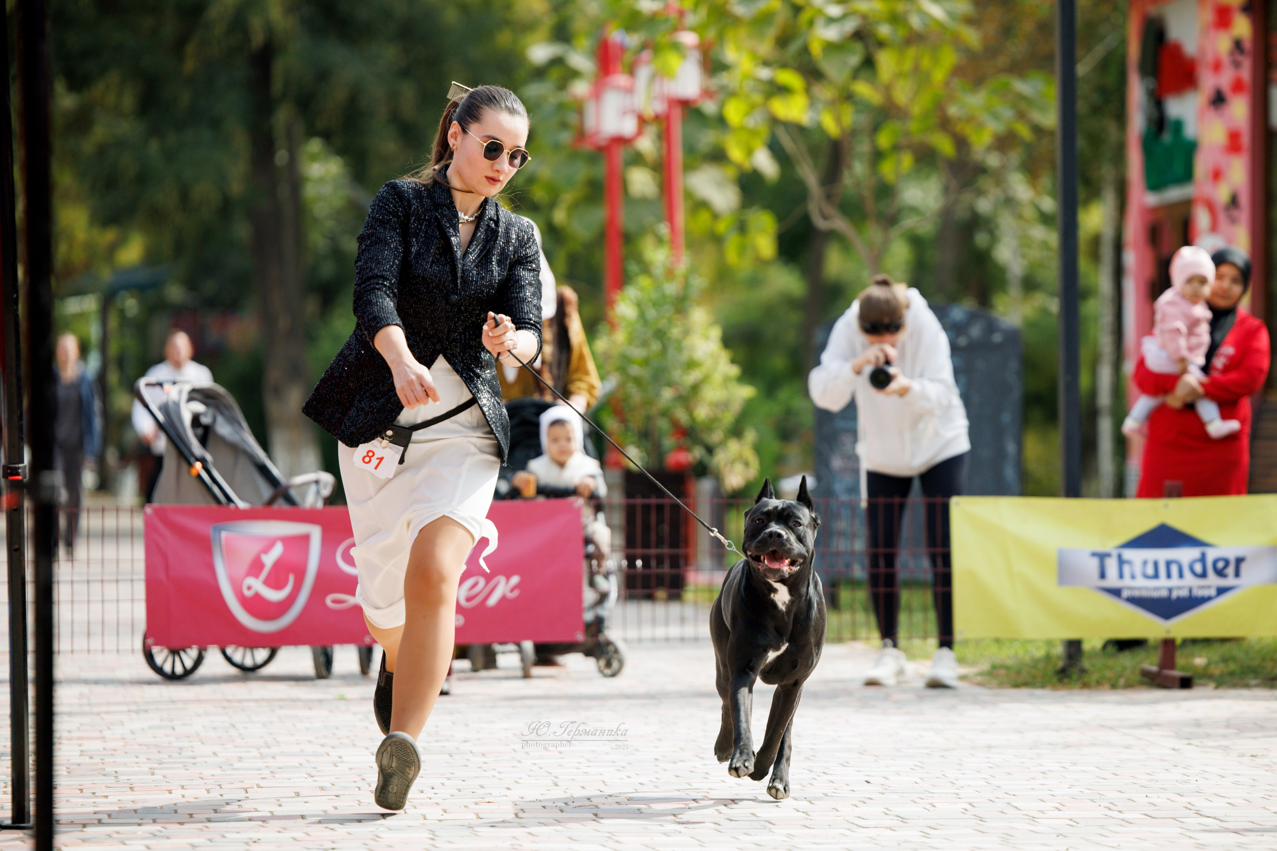 Ташкент 3хCACIB 3-5.10.2025. Фотограф-анималист Юлия Германика