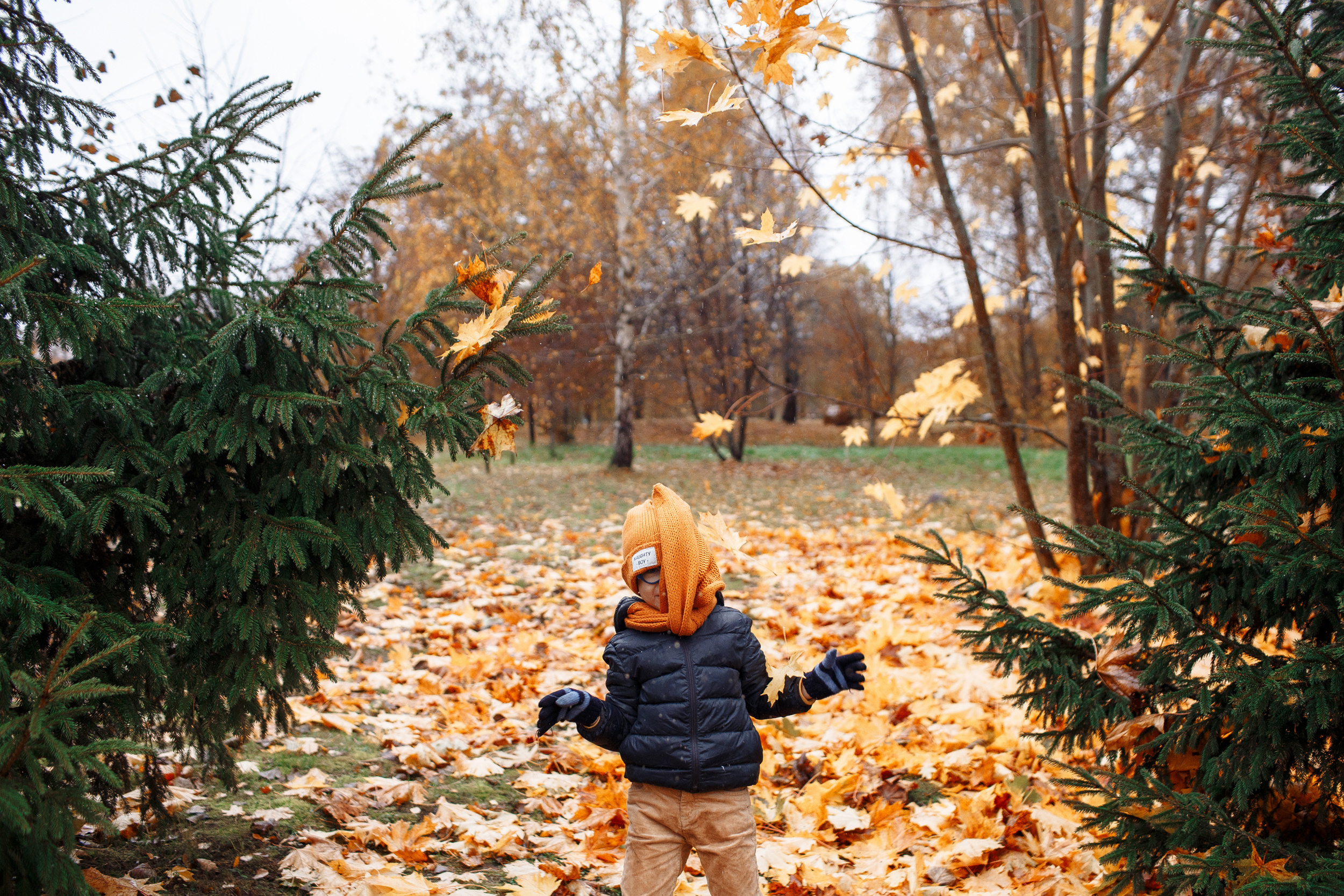Золотая осень. Свадебный и семейный фотограф в Твери, Москве, Санкт-Петербурге