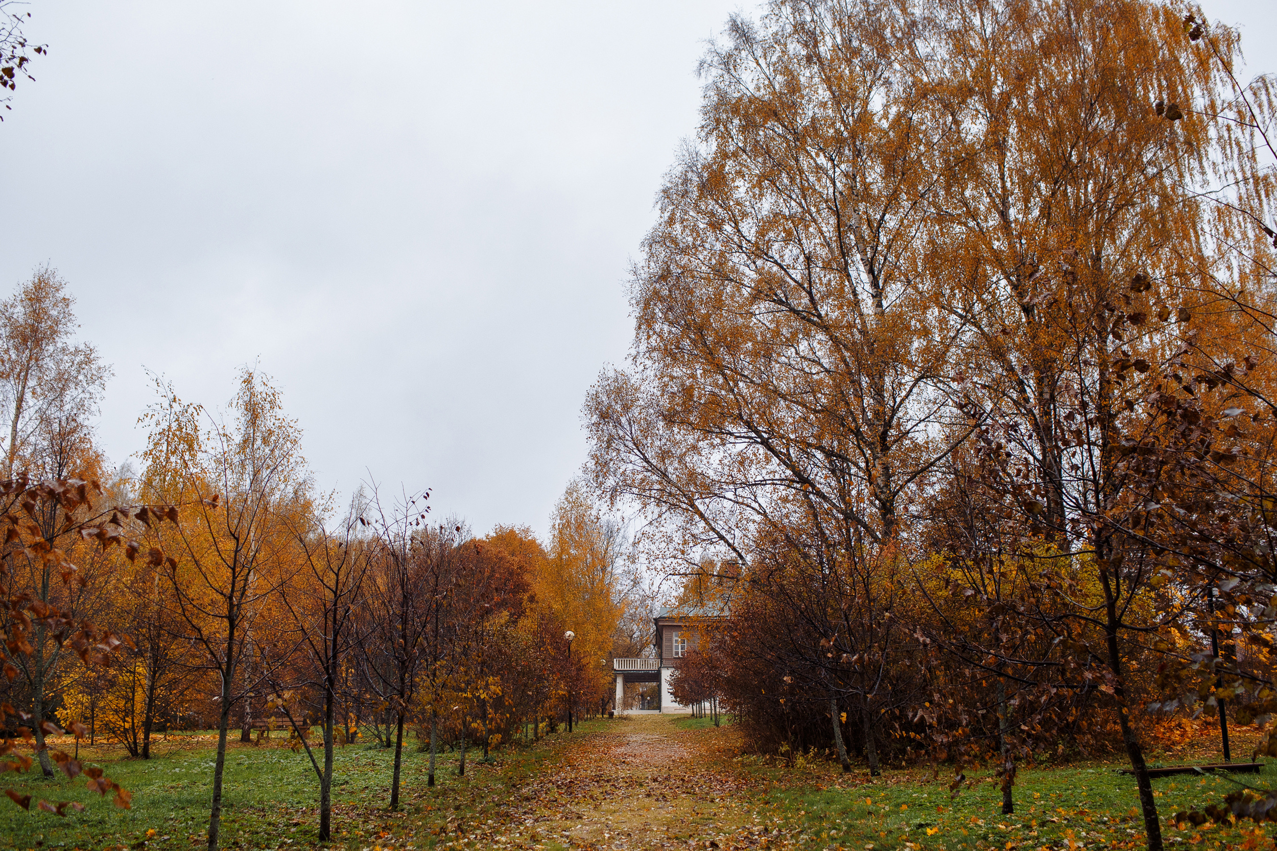 Золотая осень. Свадебный и семейный фотограф в Твери, Москве, Санкт-Петербурге
