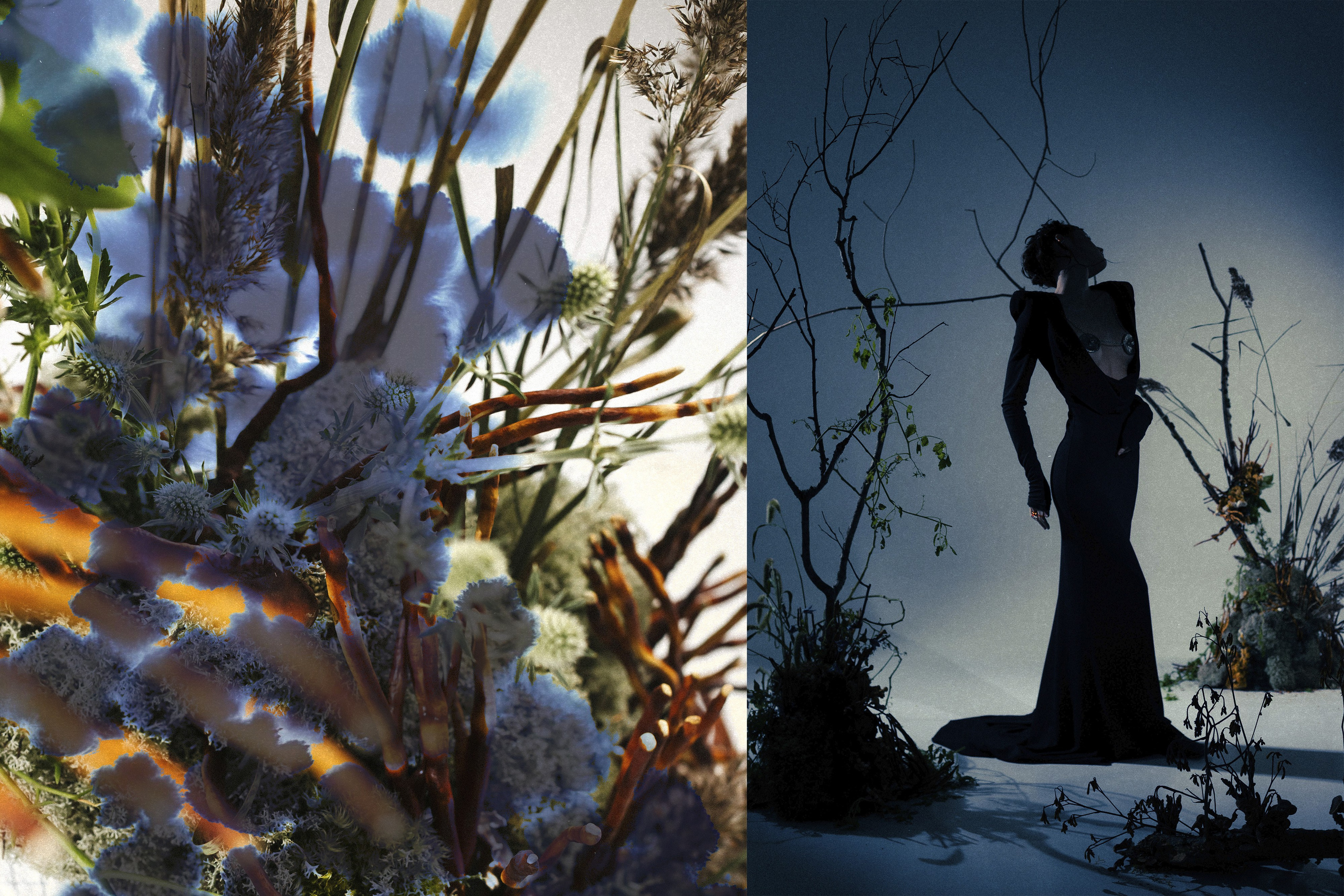 Коммерческий фотограф в Санкт-Петербурге (СПб) Екатерина Панчёха, Панчёшка