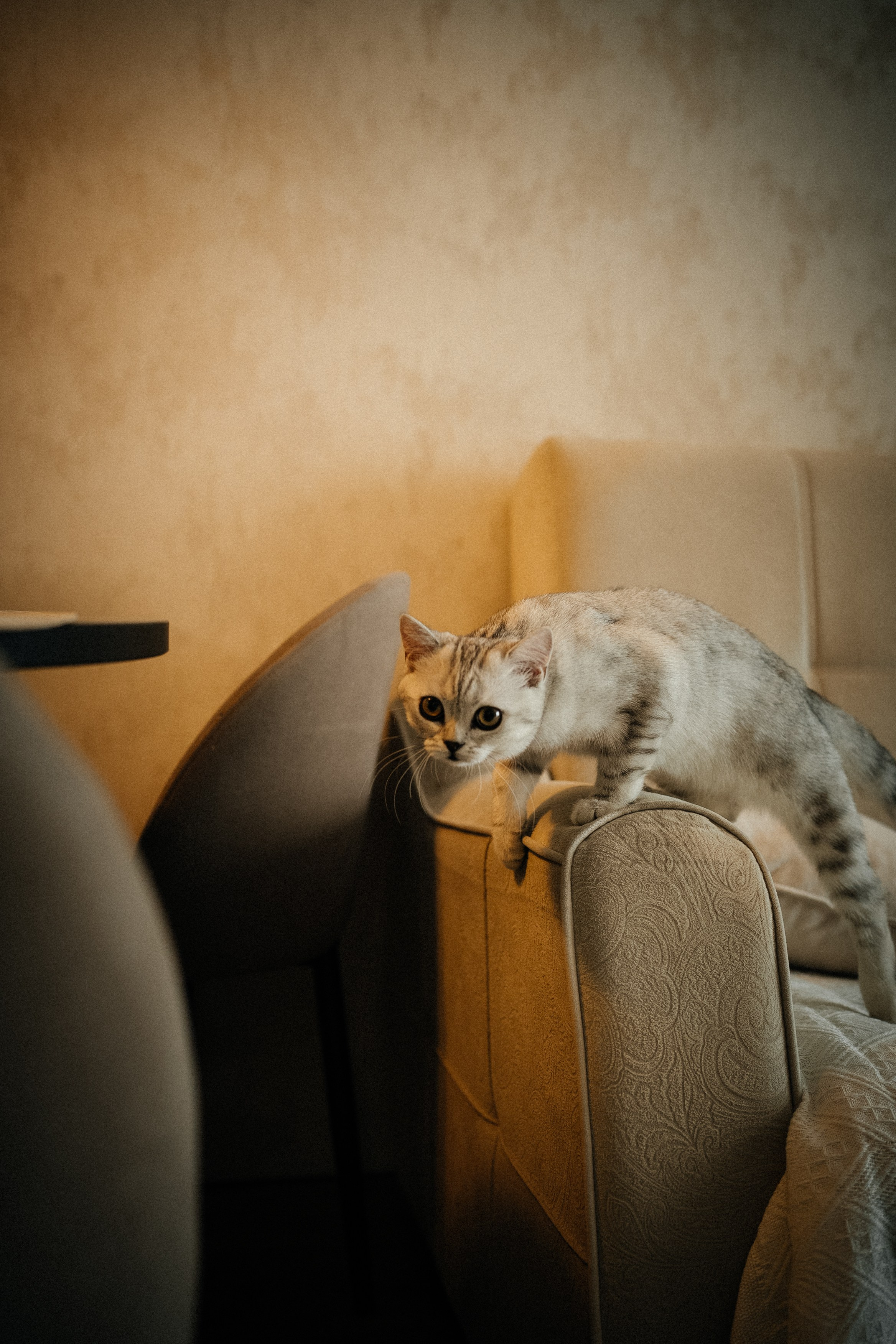 Семья Ксении и Максима. Фотограф | Юлия Арт| Обучение