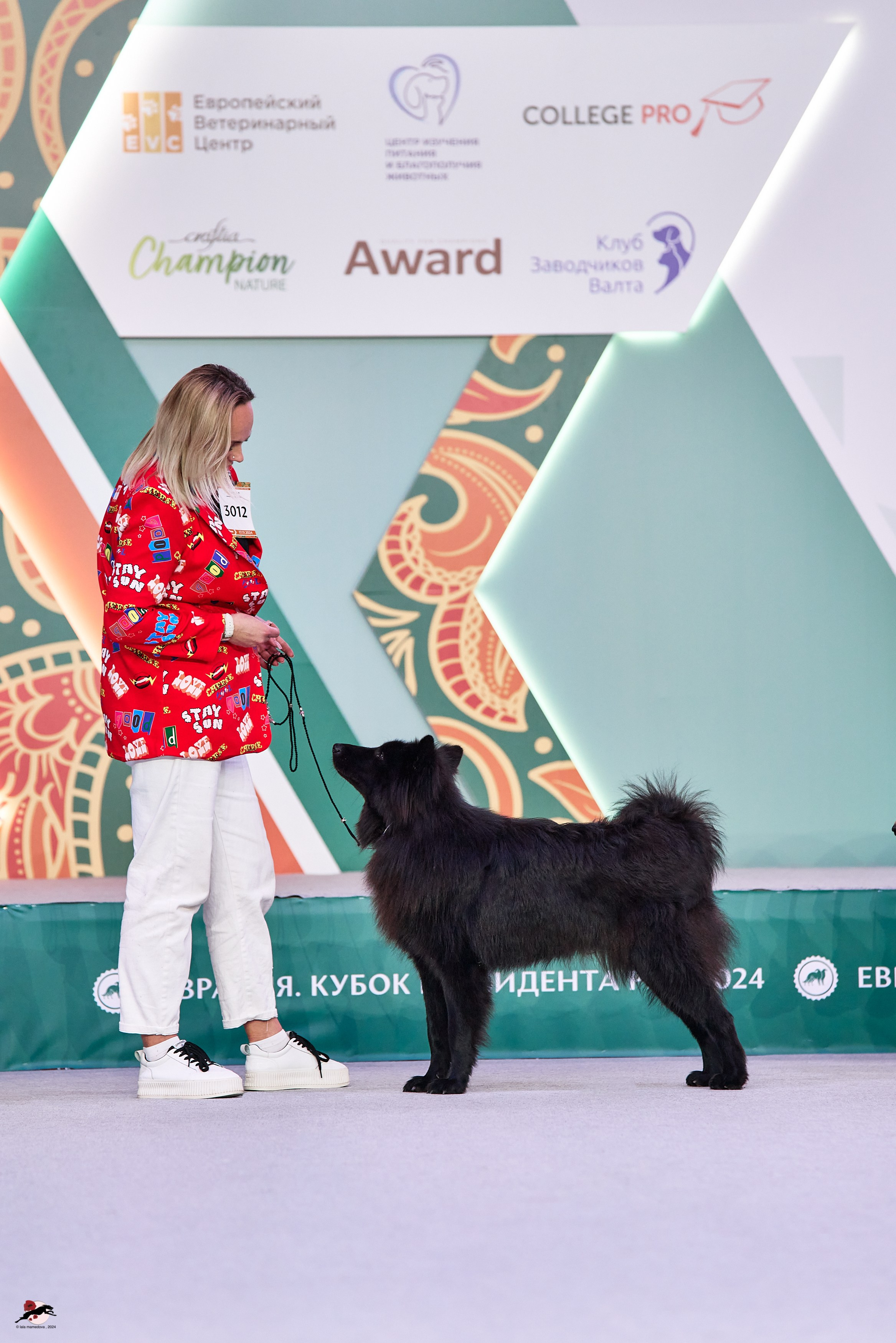 17.11.2024 «ЕВРАЗИЯ. КУБОК СНГ 2024»