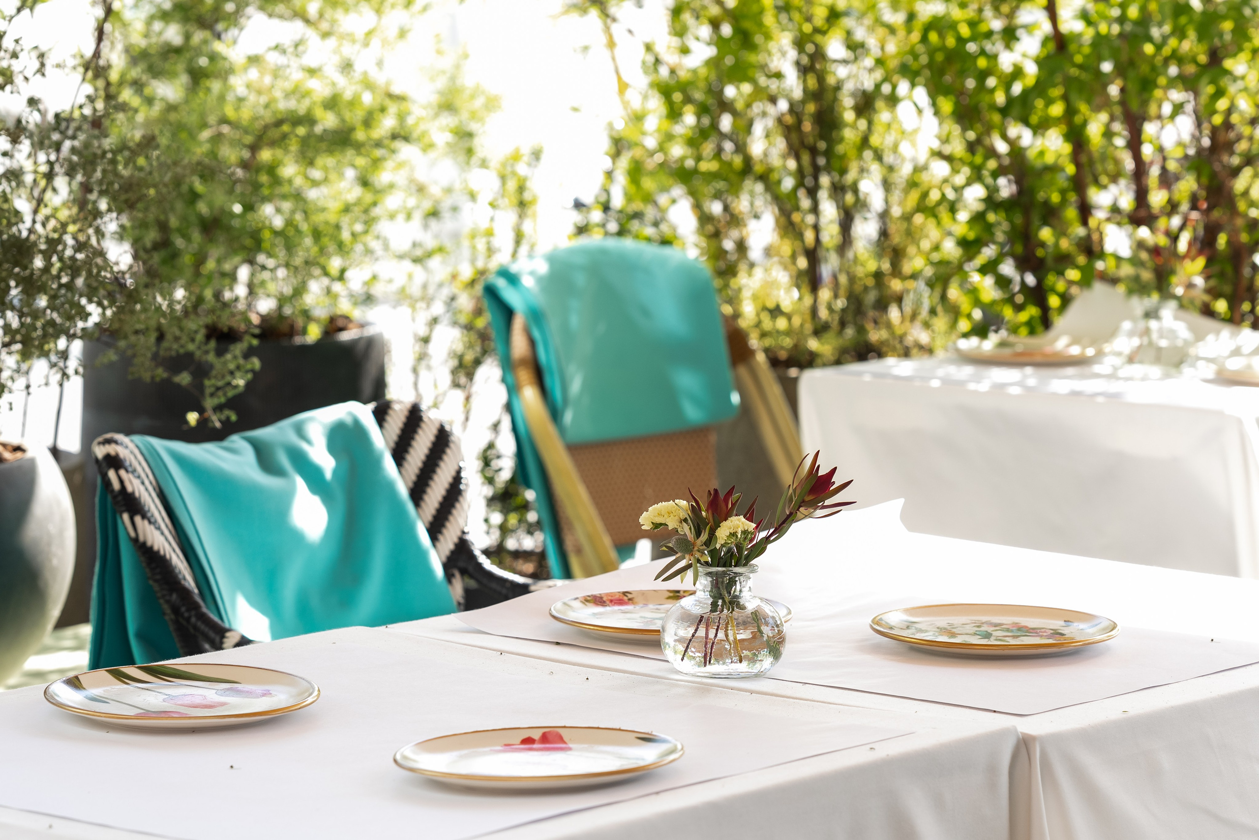 Le Pigeon — Русские сезоны и Балет «Дягилев». Фотограф Никита Комаров