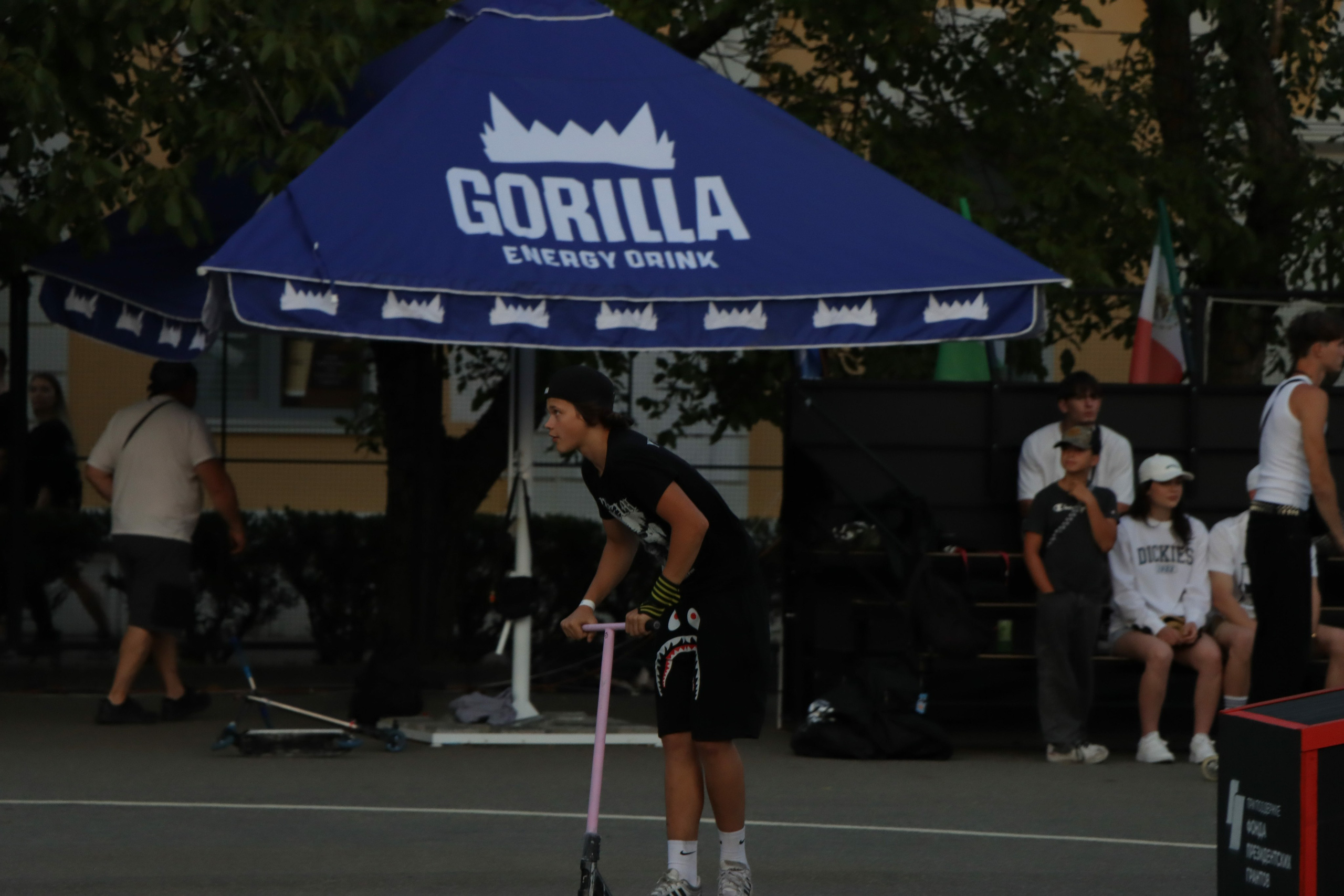 Фестиваль КАРДО