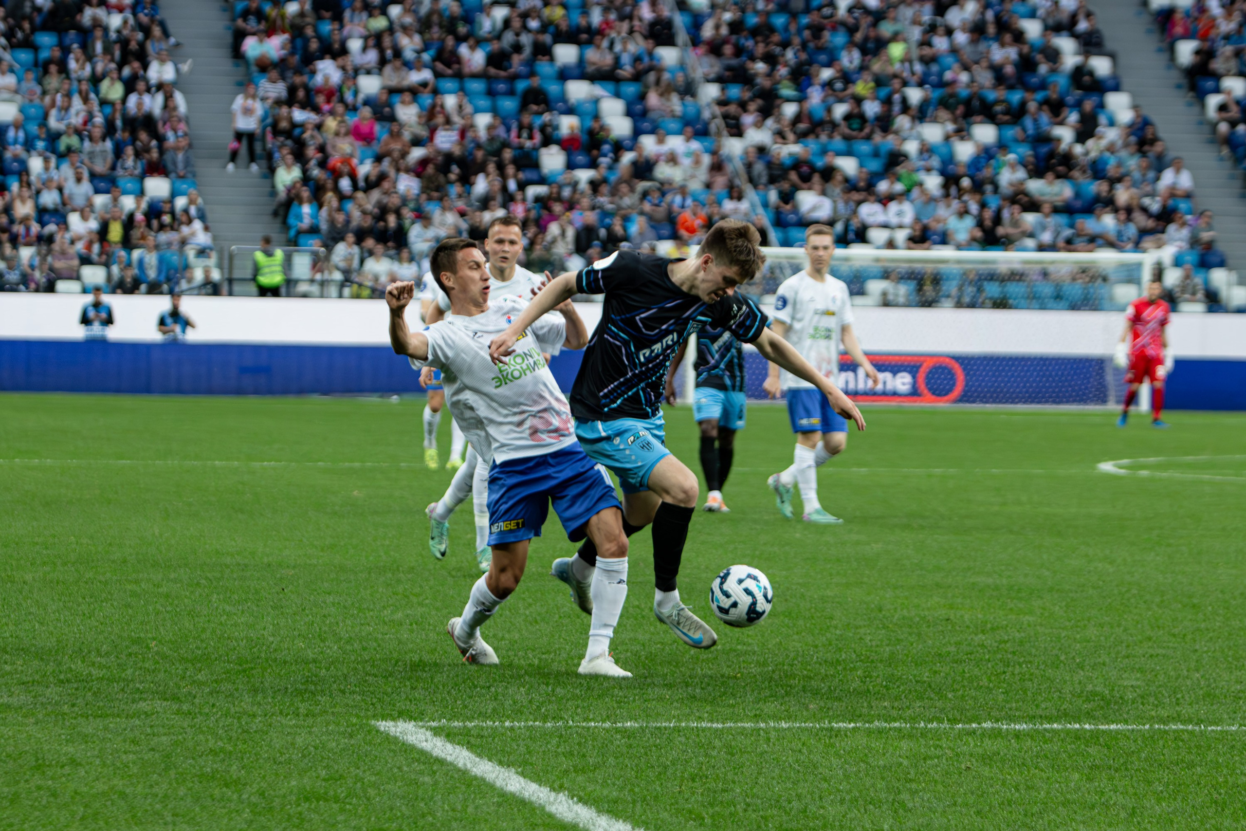Пари НН — Факел. Спортивный фотограф в Смоленске — Екатерина Степенок