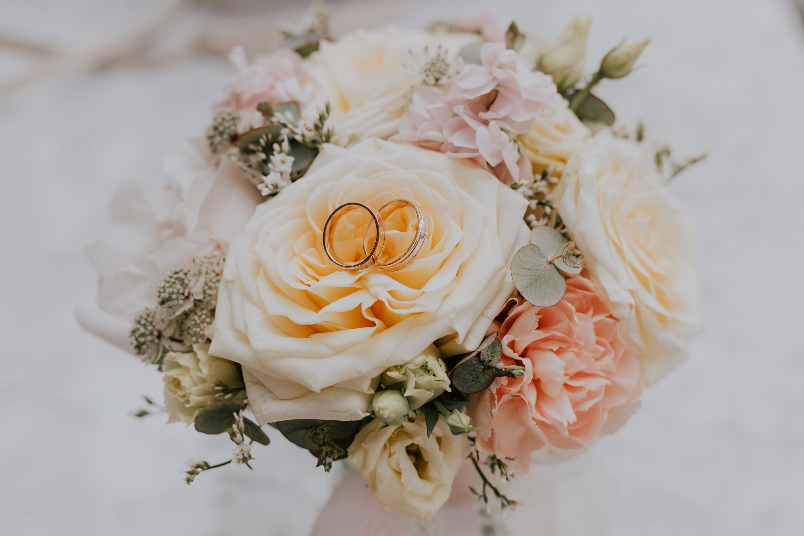 Илья и Светлана. Фотограф Москва, Светлана Королева