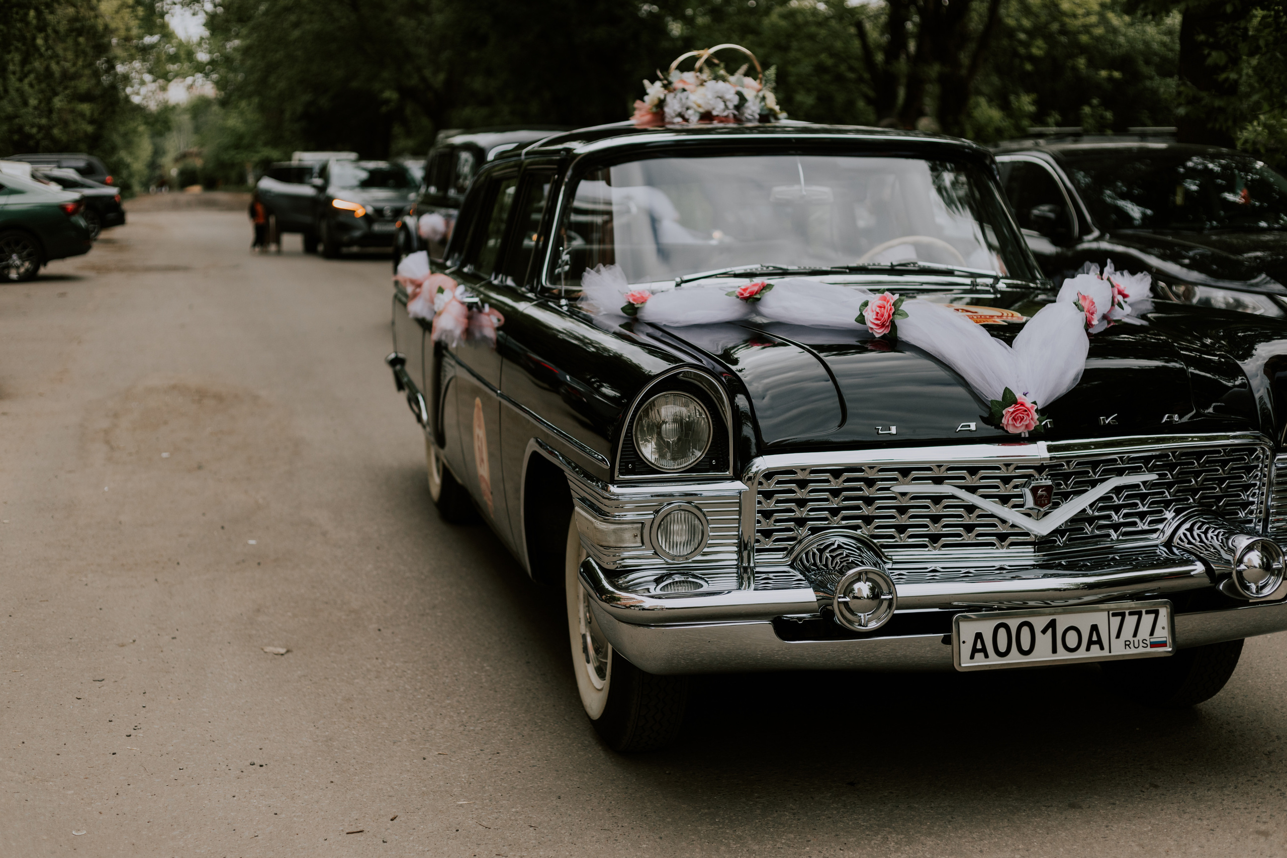 Илья и Светлана. Фотограф Москва, Светлана Королева