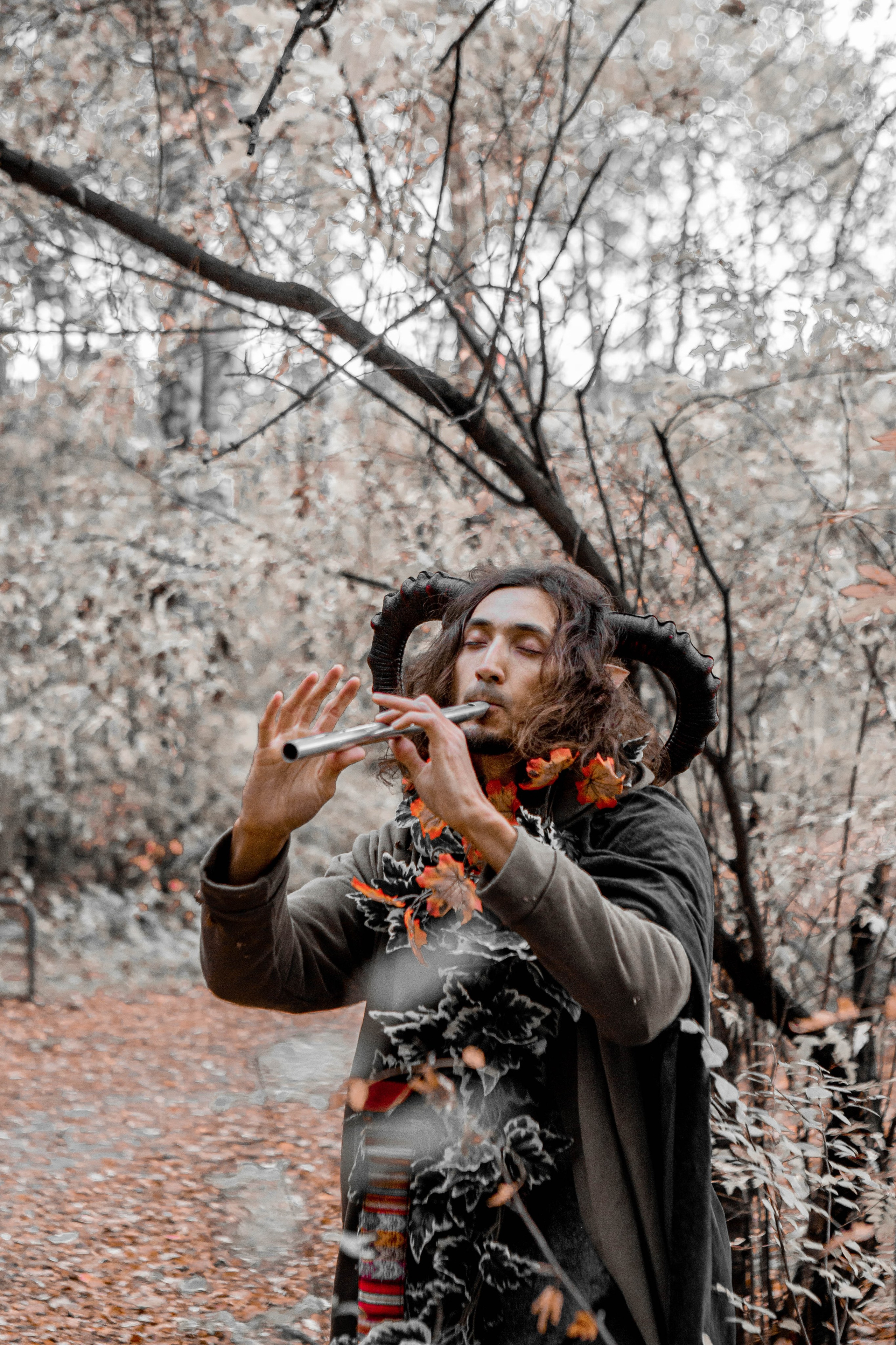 Волшебный лес. Фотограф Екатерина Голицына