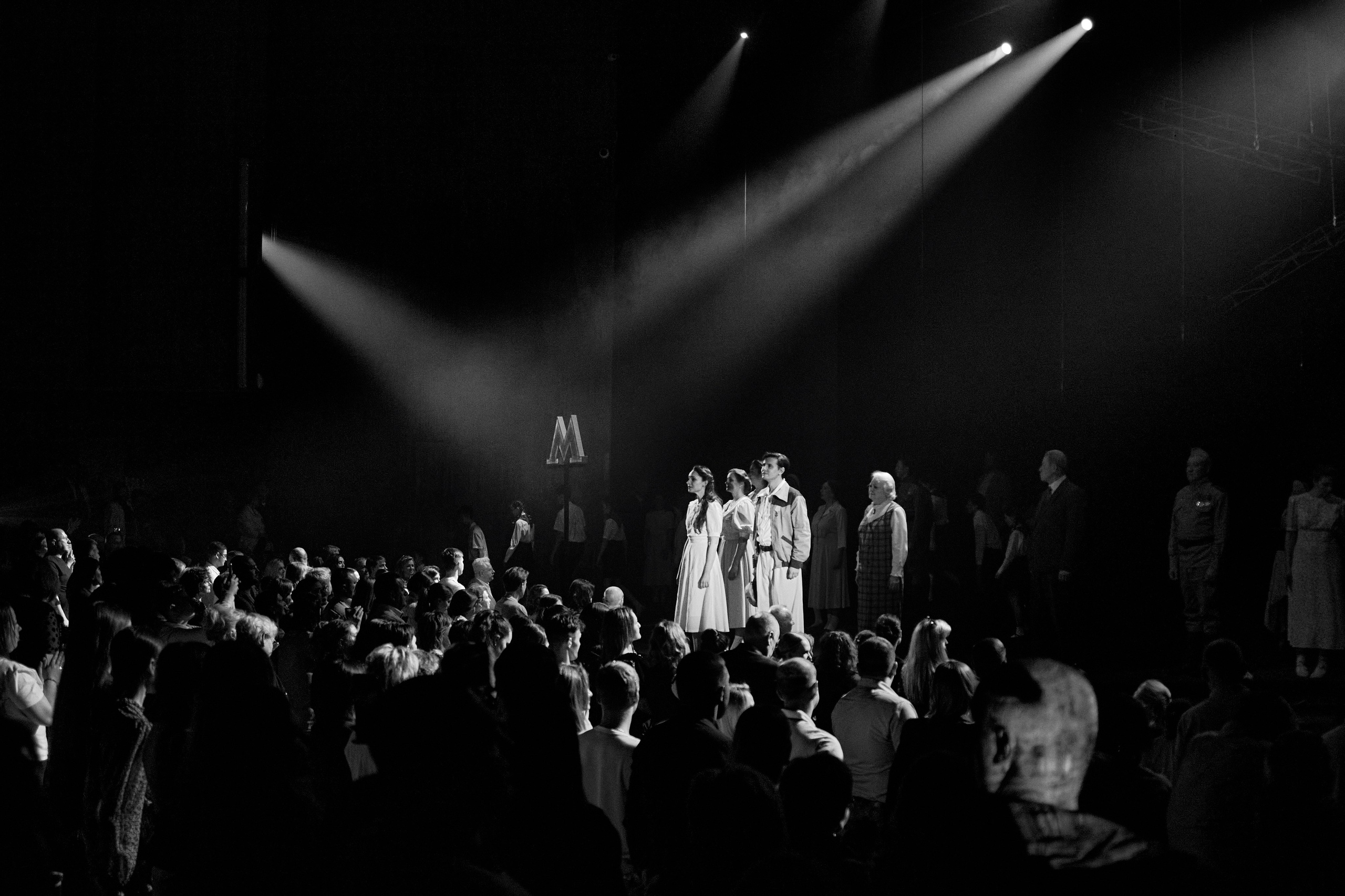 Летят журавли. Фотограф Юлия Маринина