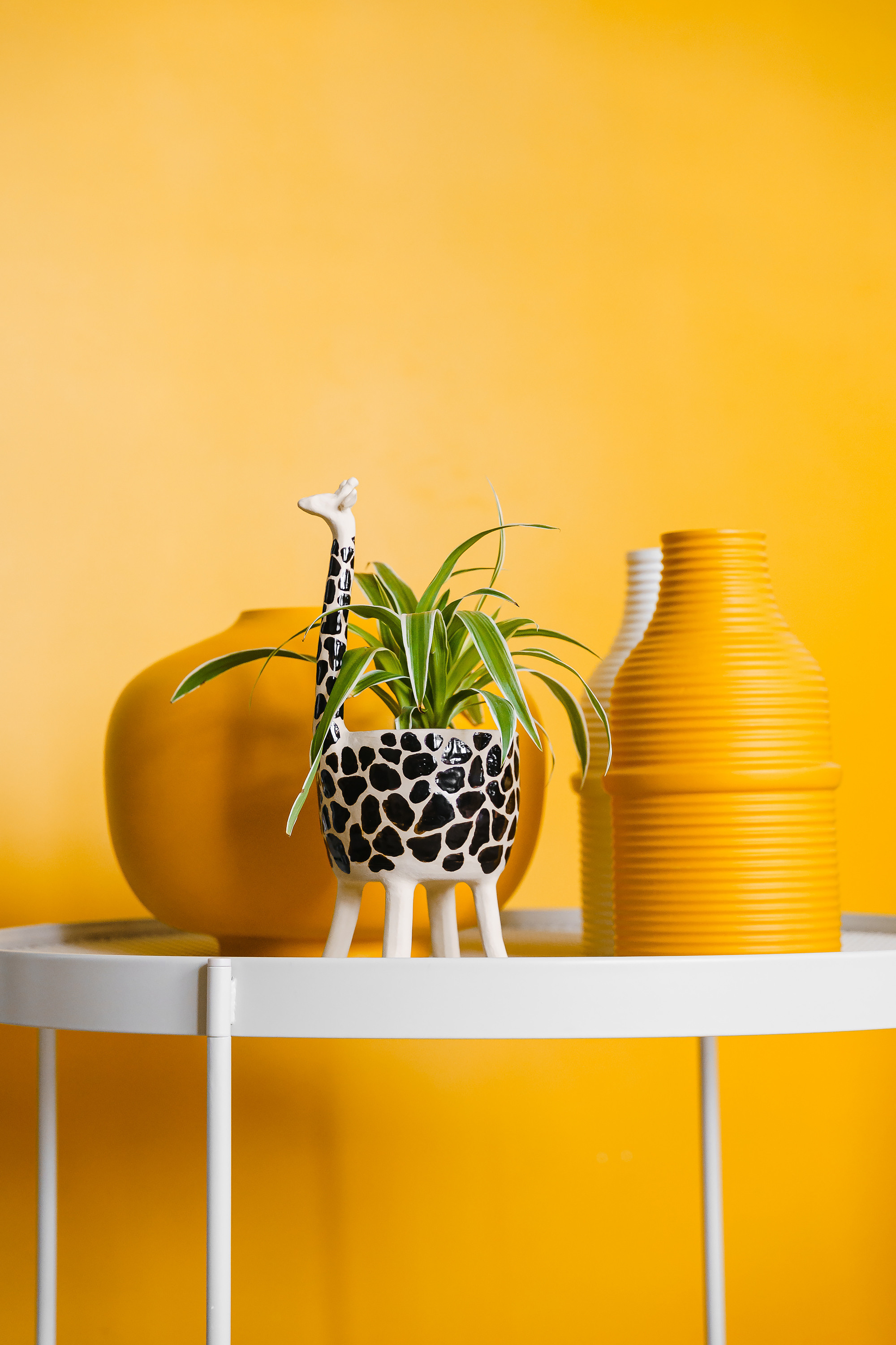 Контент. Фотограф Арина Жирякова