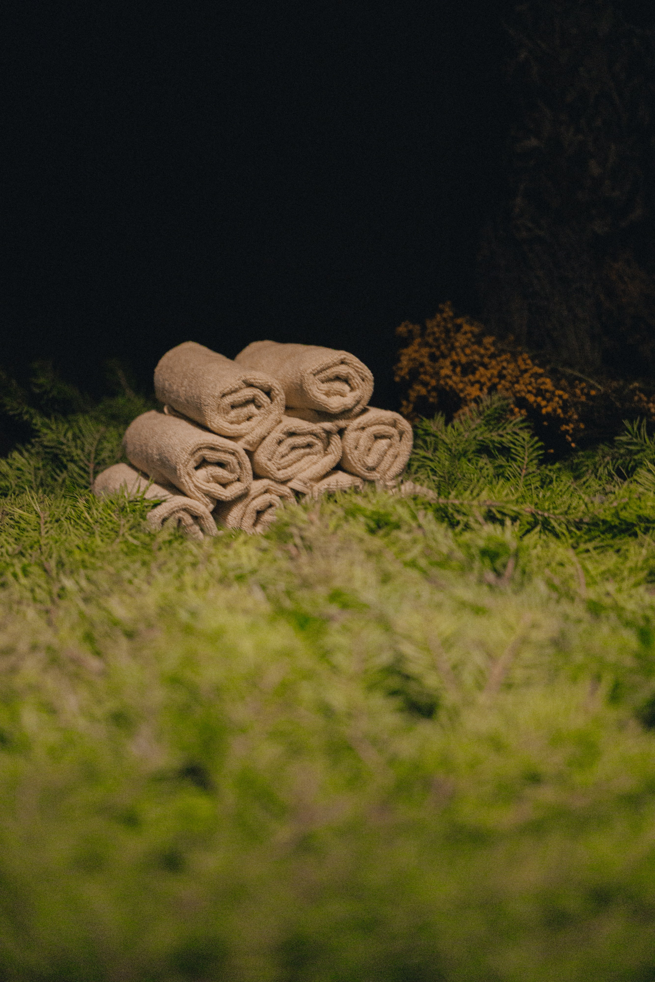 ㅤ. Gorsvet.ph
