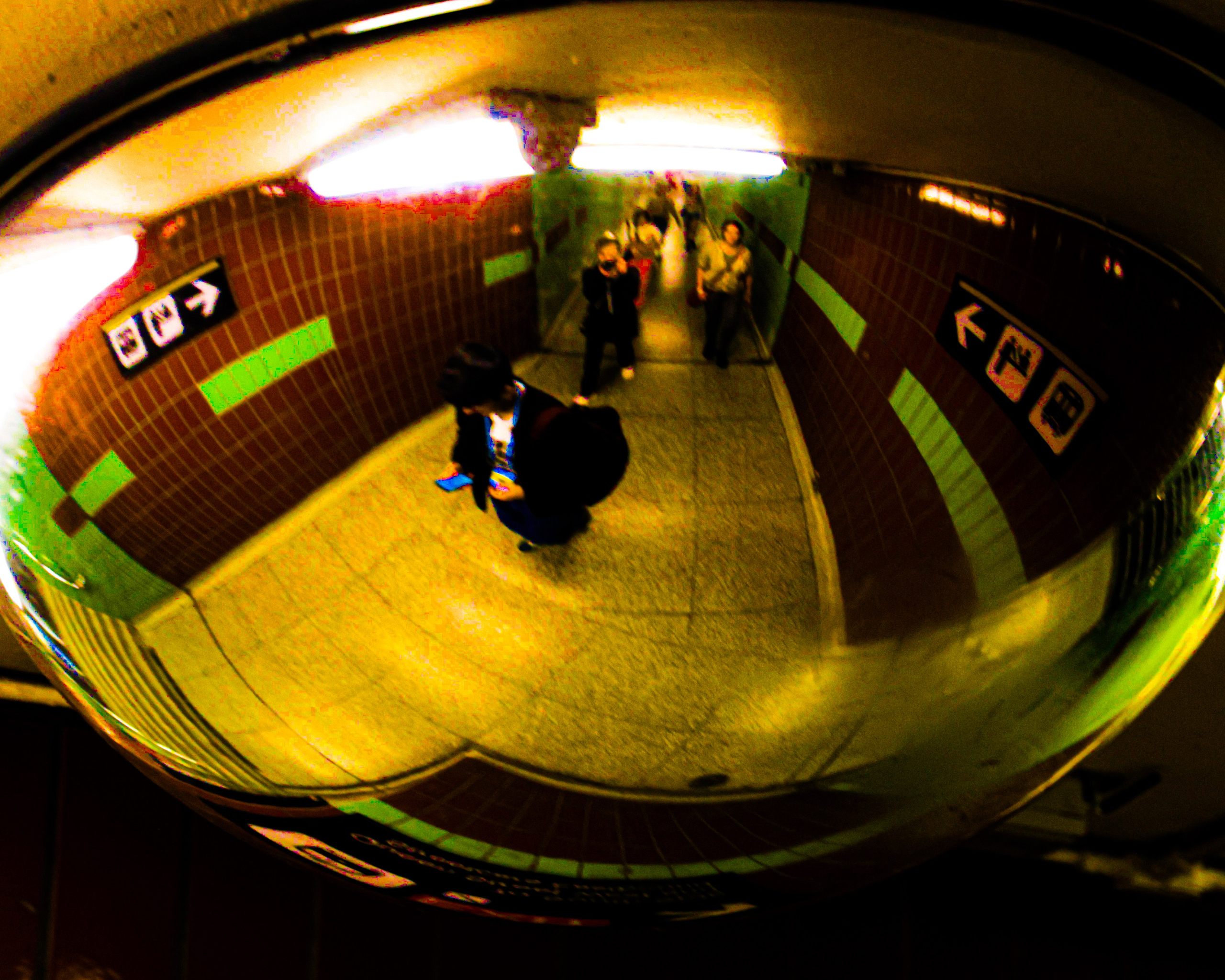 Nuit Blanche 2025. Portrait photographer based in Toronto — Blinova Mariia