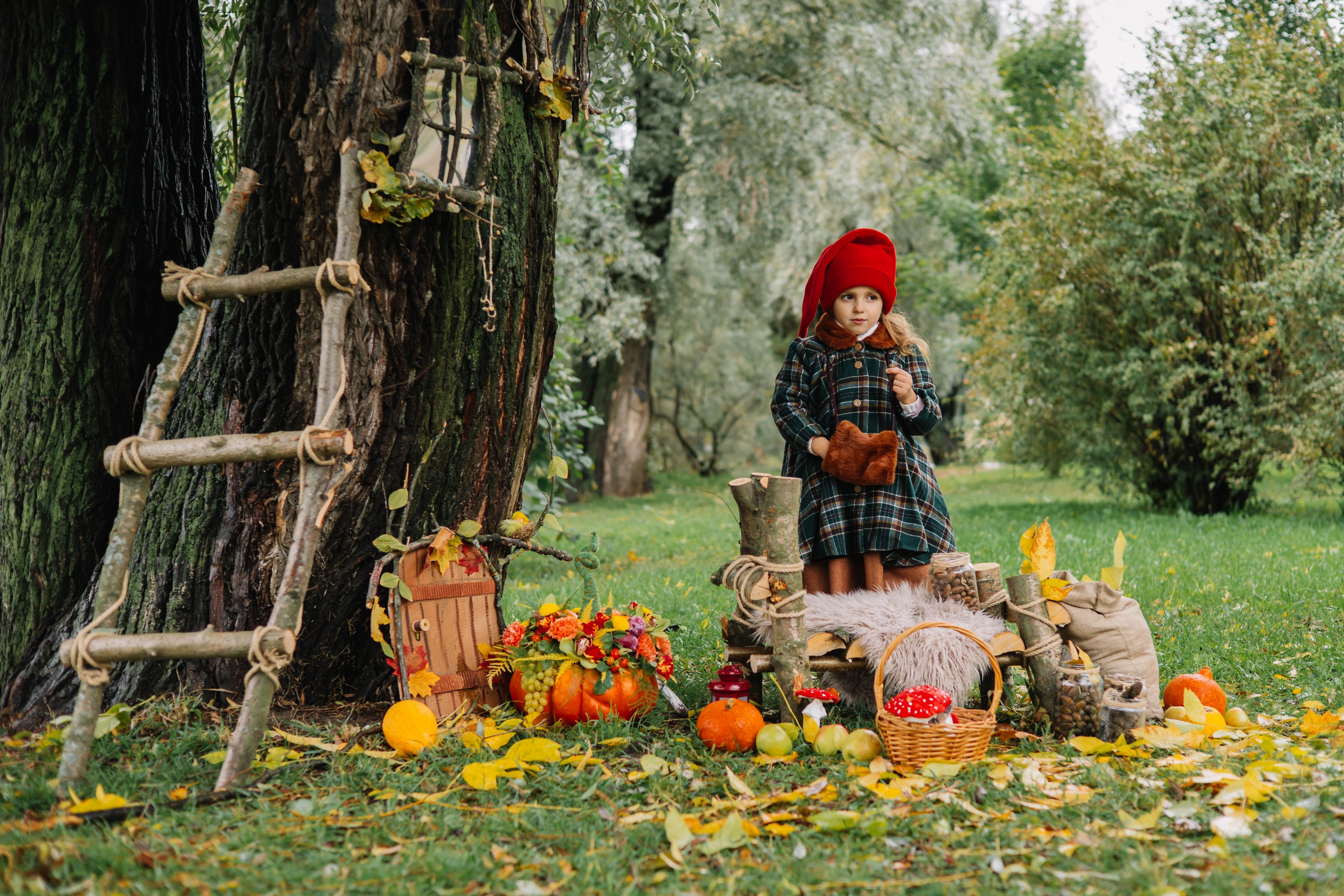 Гномики. Фотография с любовью от Людмилы Луценко