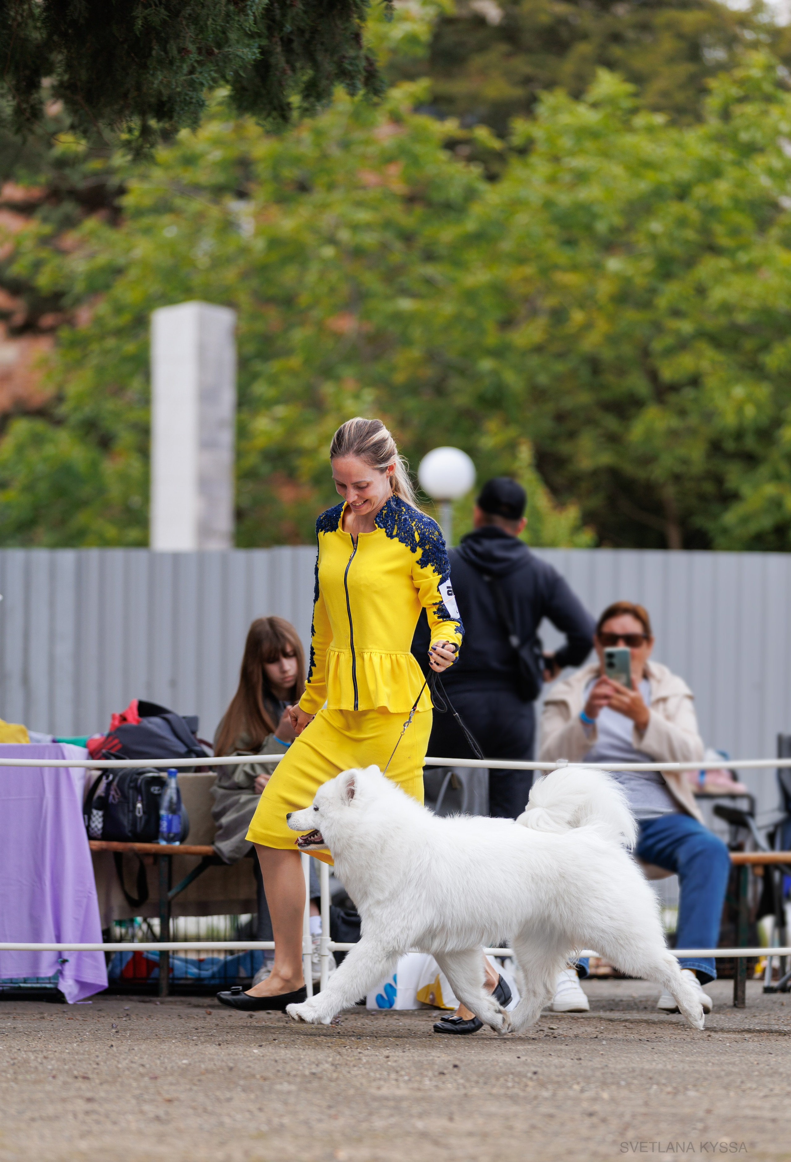 Фото с выставки собак. Фотограф — анималист Светлана Кысса|фотограф собак в Краснодаре и Нижнем Новгороде