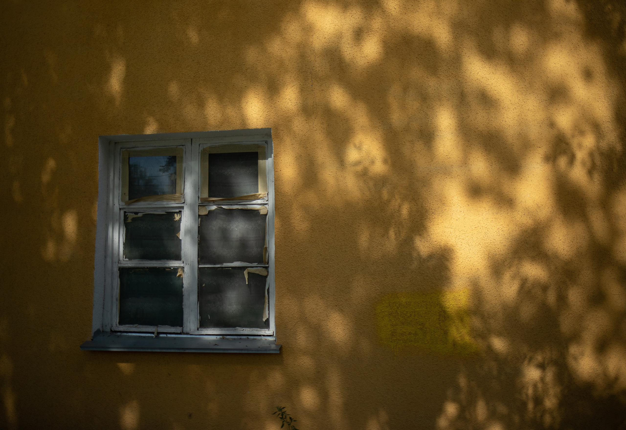 DOC. Photographer Alina Skitovich