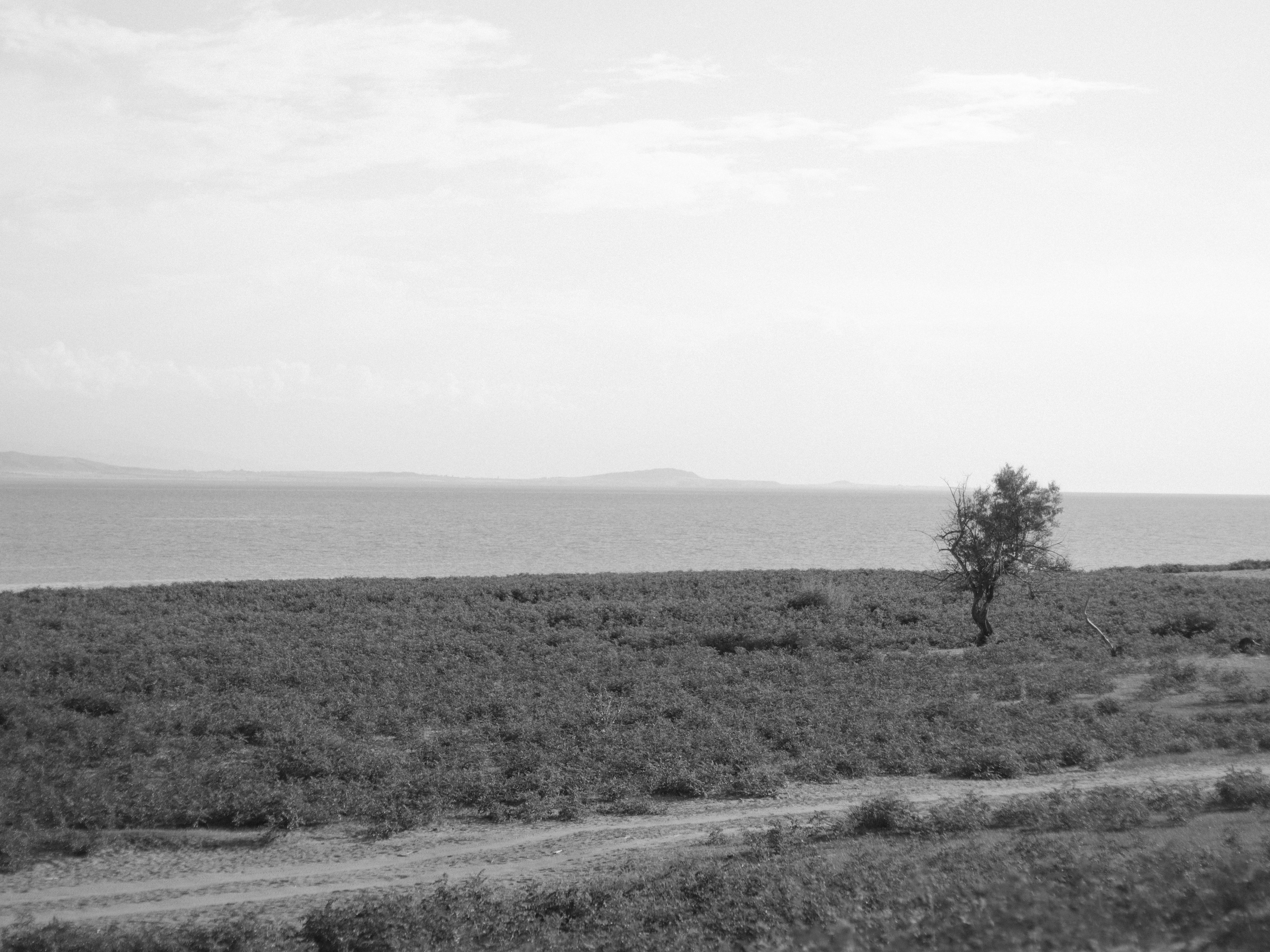 Dry Ridge. Фотограф и исследователь фотографии из Санкт-Петербурга Елизавета Веприцкая